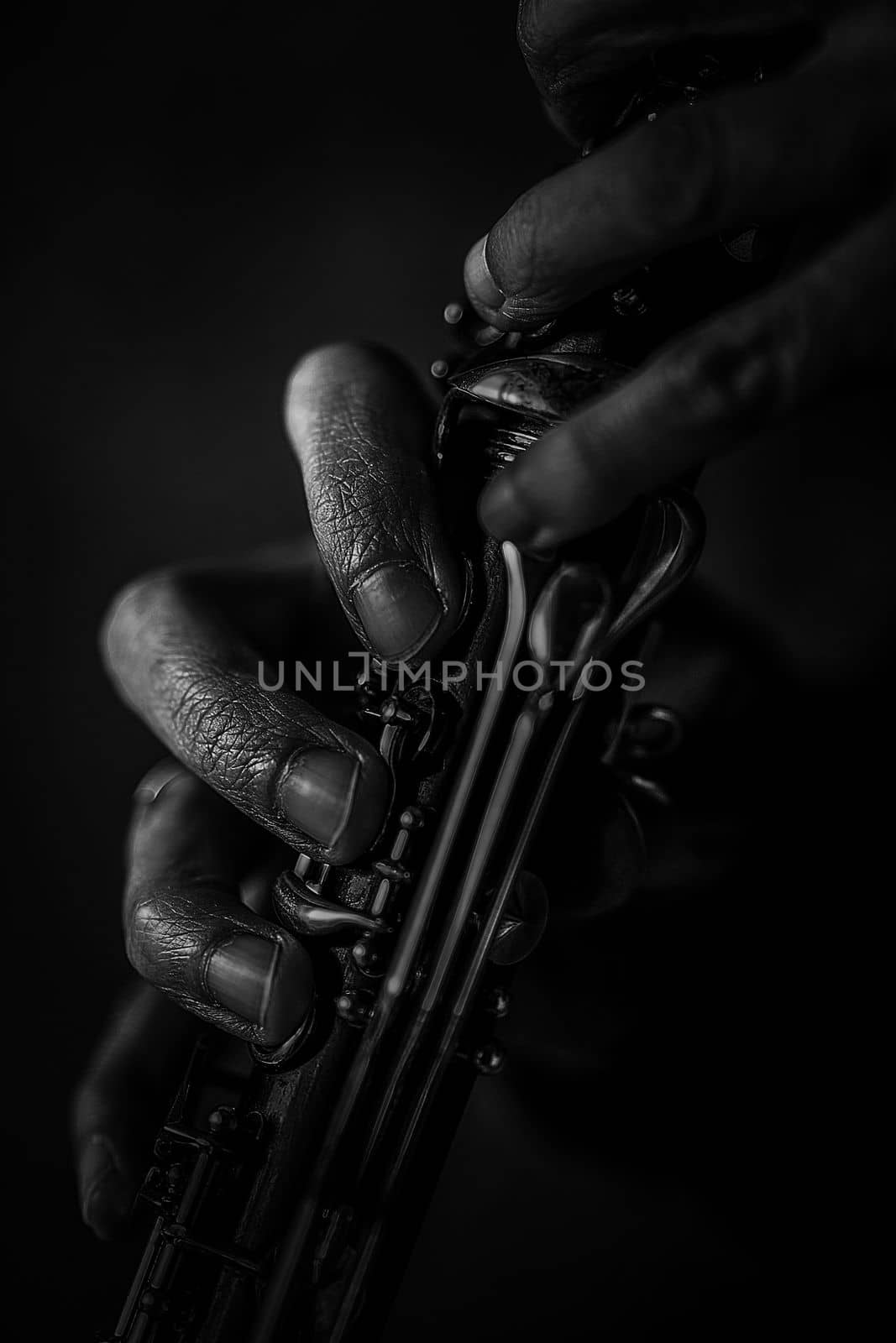 the hands of a musician on the clarinet - an ancient musical wooden instrument popular in classical brass marching jazz folk music, loved by children and adults, amateurs and professionals. by Costin