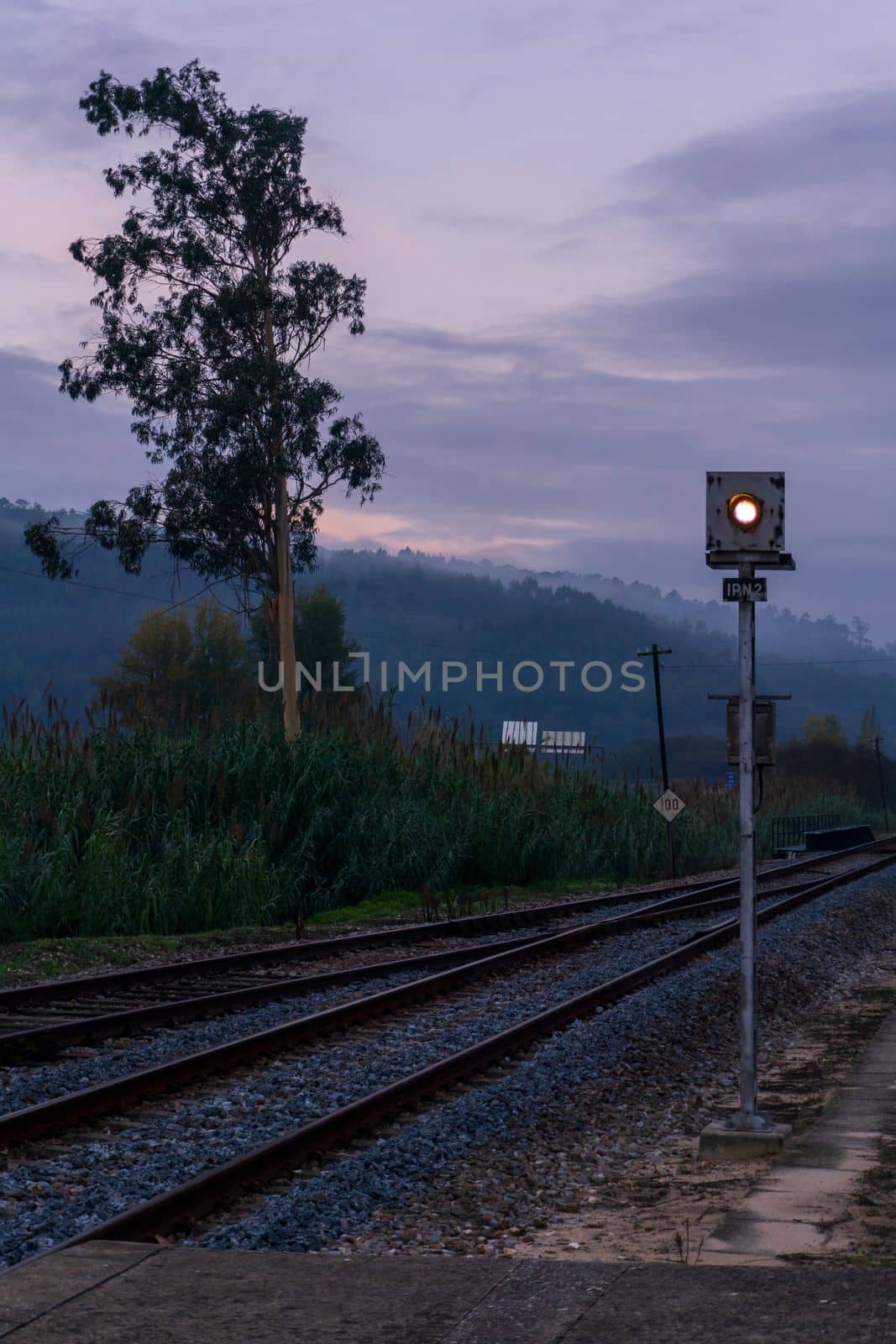 Landscape with eucalyptus tree and railway tracks against hills in fog early morning