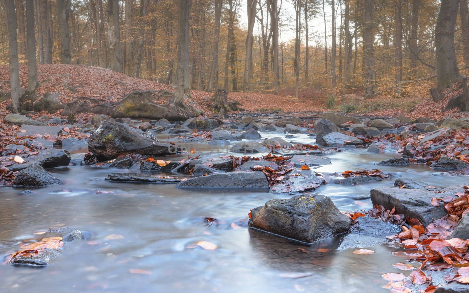 Panoramic image of idyllic creek during autumn season, Bergisches Land, Germany