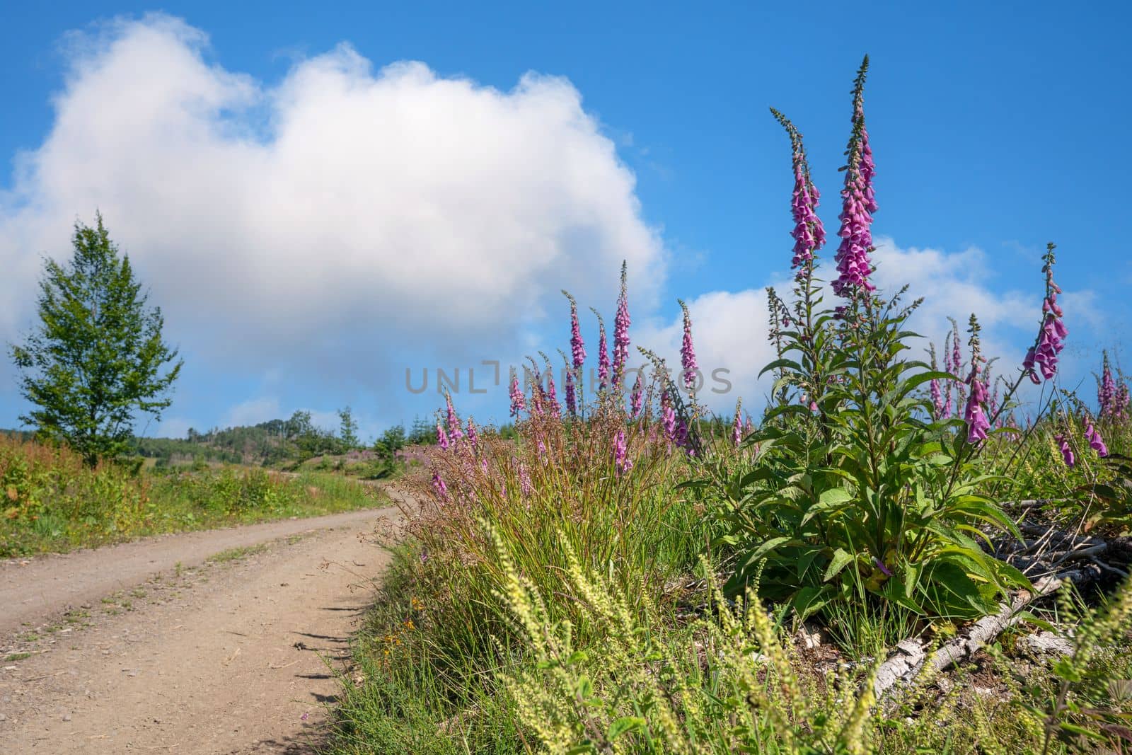 Long distance hiking trail Bergischer Panoramasteig, Bergisches Land, Germany