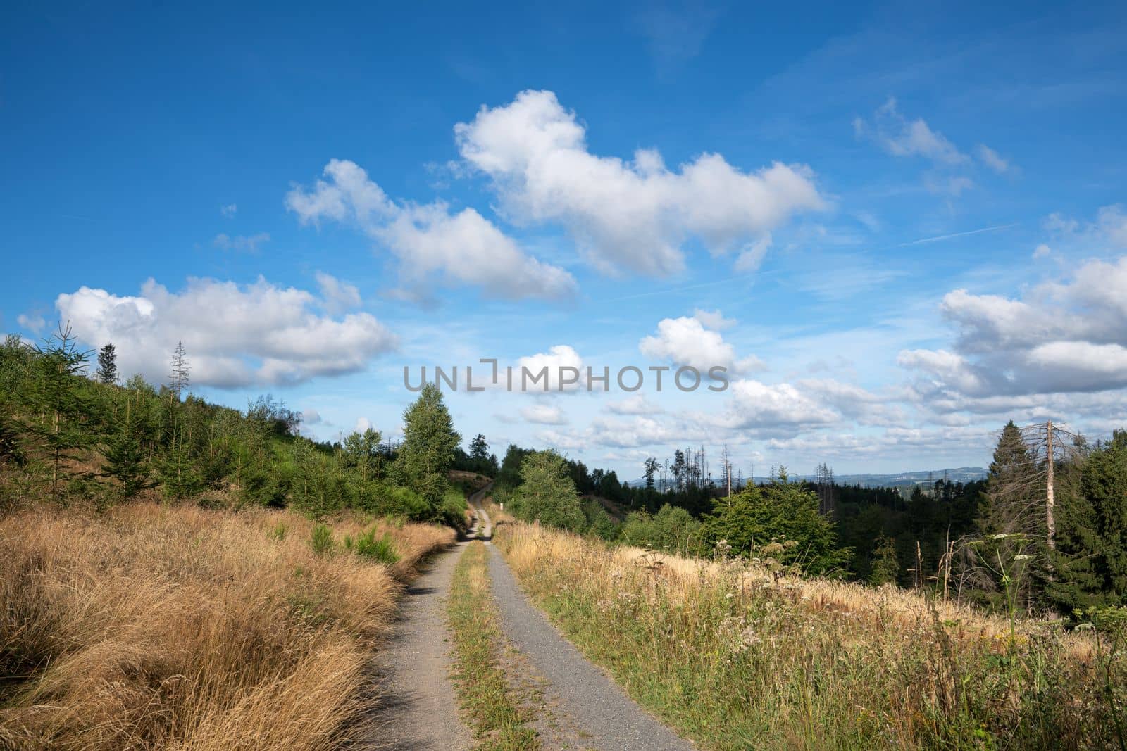 Long distance hiking trail Bergischer Panoramasteig, Bergisches Land, Germany