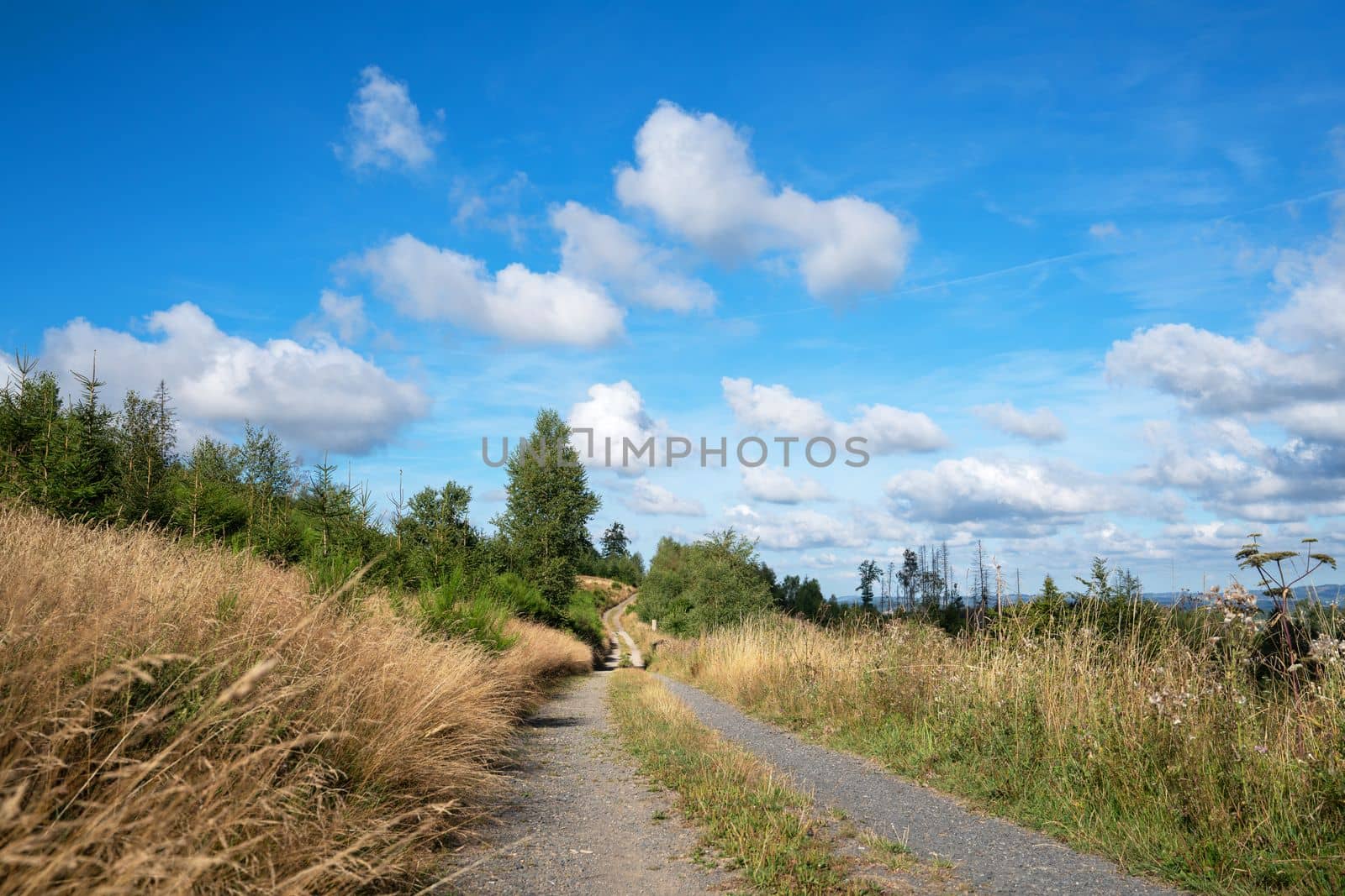 Bergischer Panoramasteig, Bergisches Land, Germany by alfotokunst