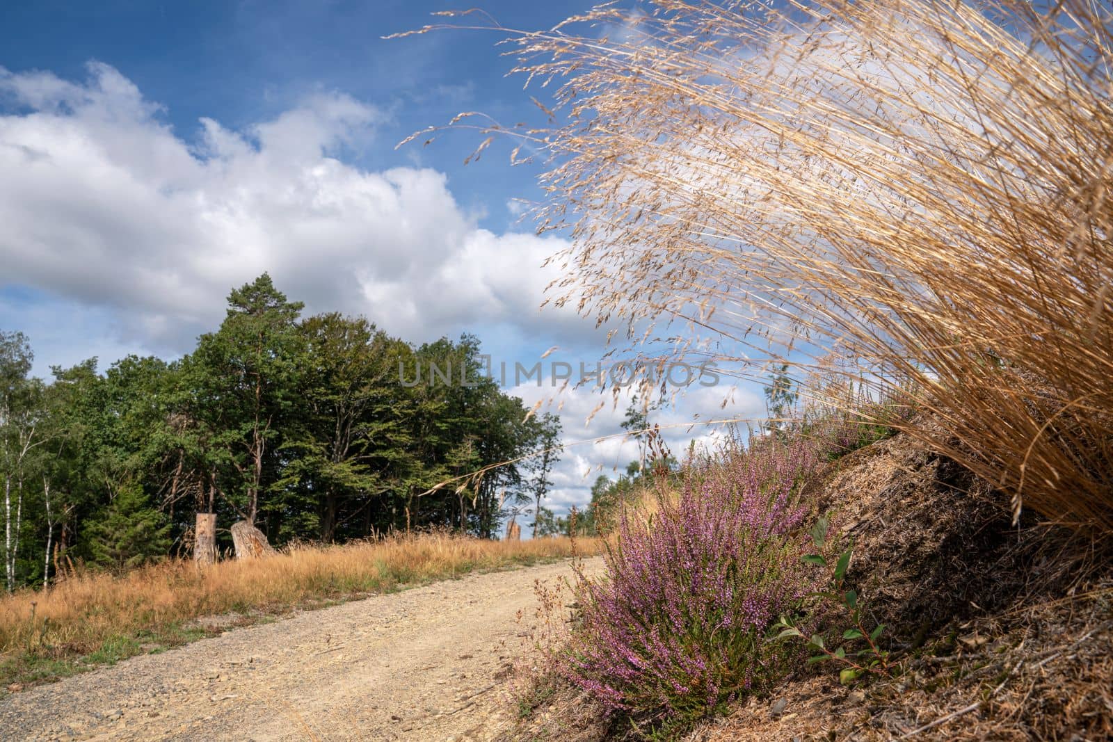 Long distance hiking trail Bergischer Panoramasteig, Bergisches Land, Germany