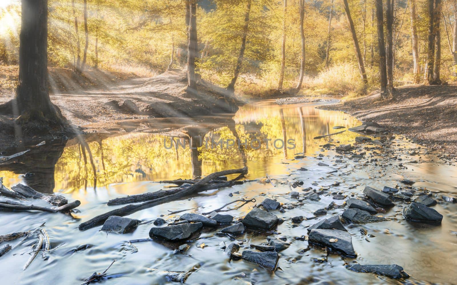 Panoramic image of idyllic creek during autumn season, Bergisches Land, Germany