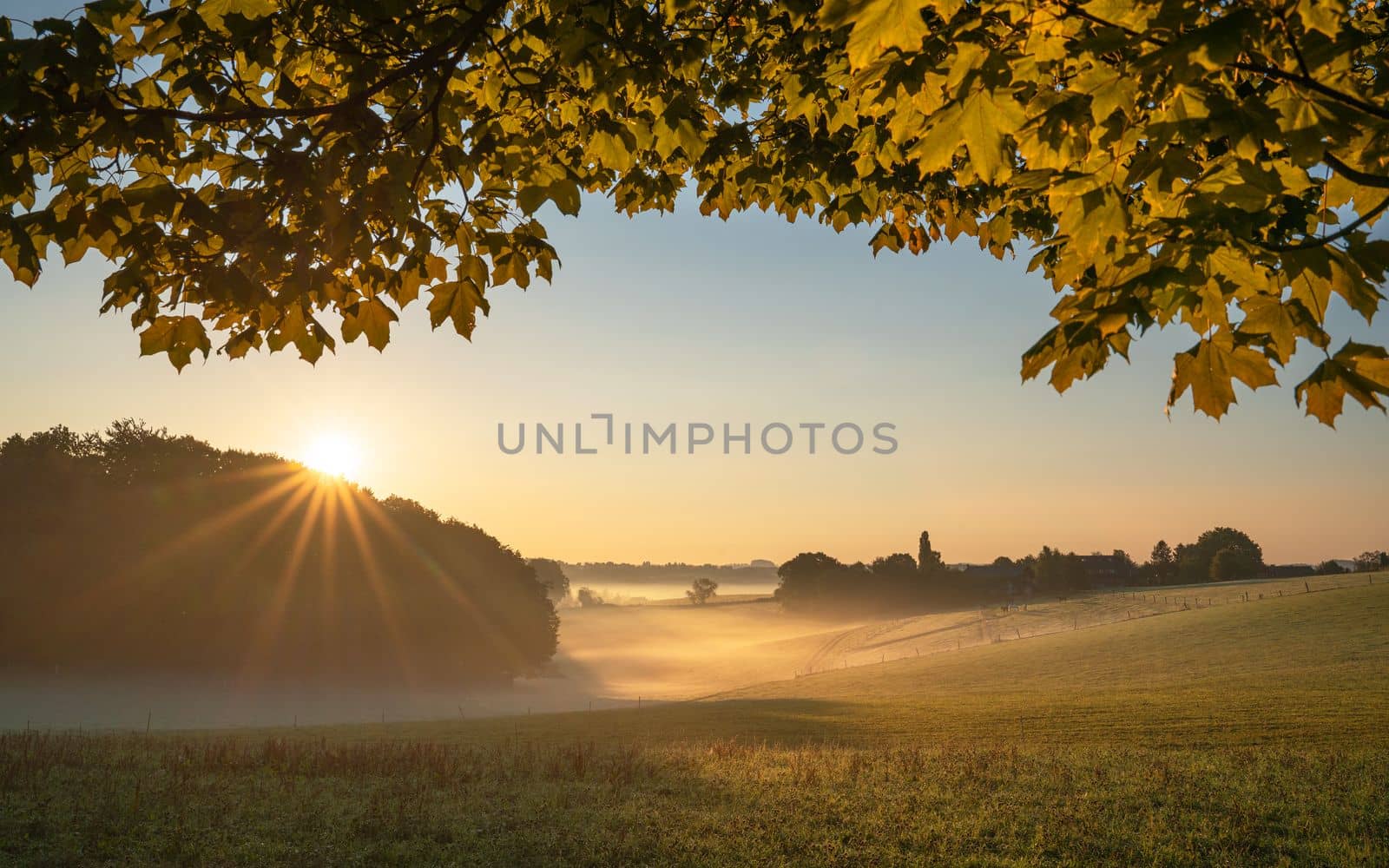 Panoramic landscape image of sunrise on a foggy morning during autumn, Bergisches Land, Germany