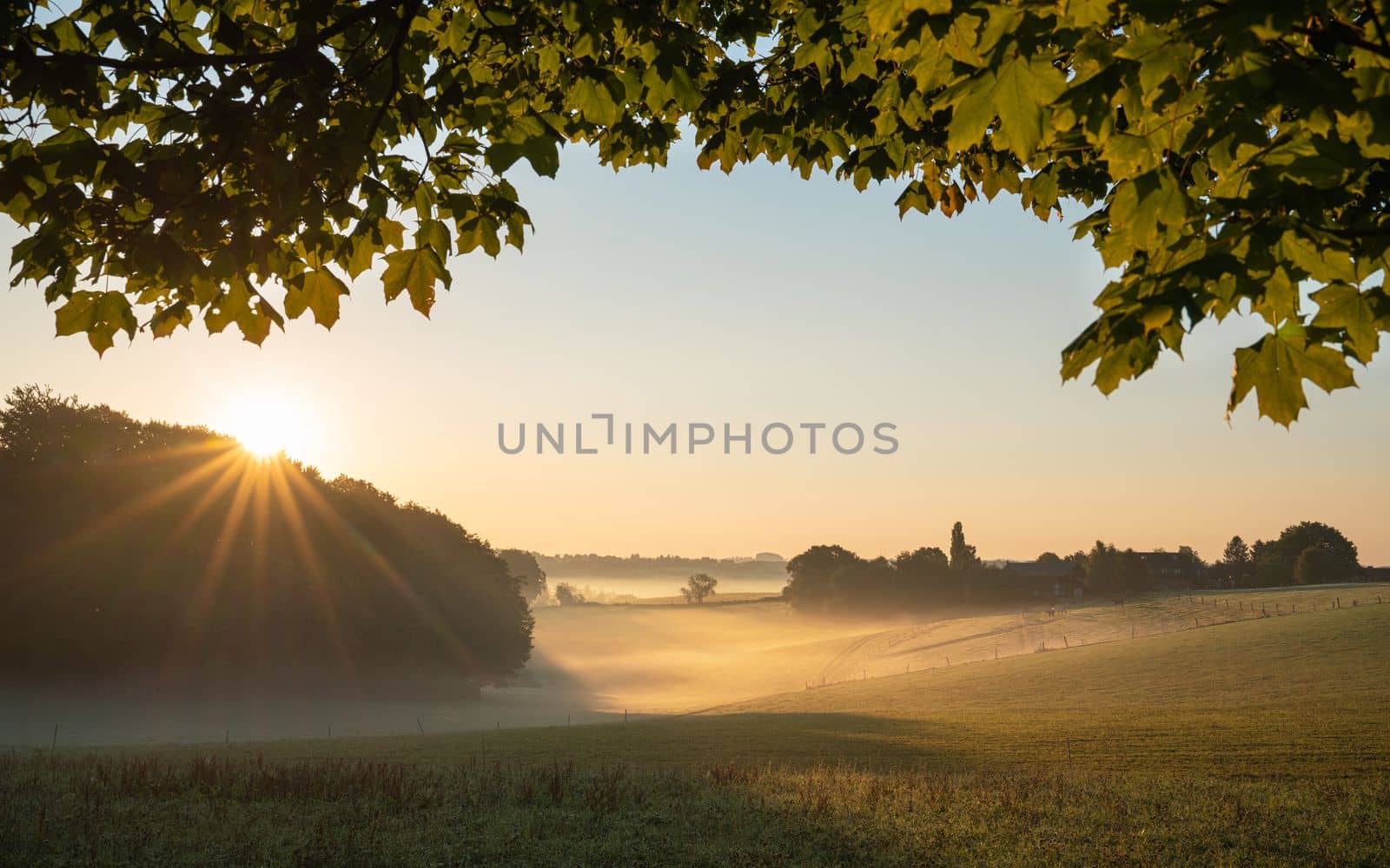 Sunrise, Bergisches Land, Germany by alfotokunst