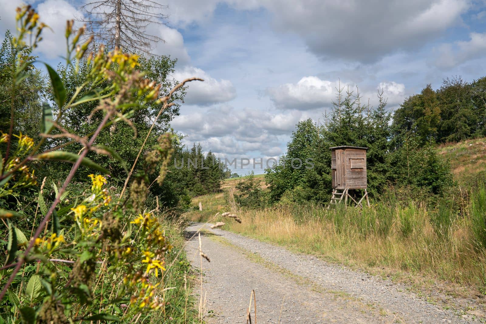 Panoramic image of deerstand within the landscape of Bergisches Land, Germany