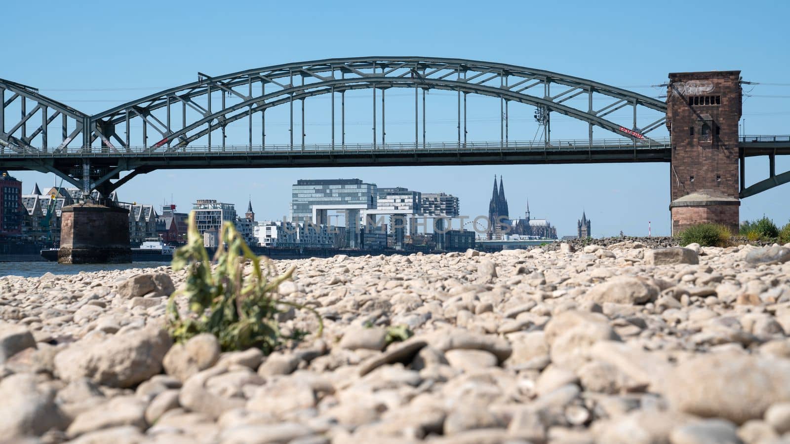 Drought in Germany, low water on Rhine river by alfotokunst