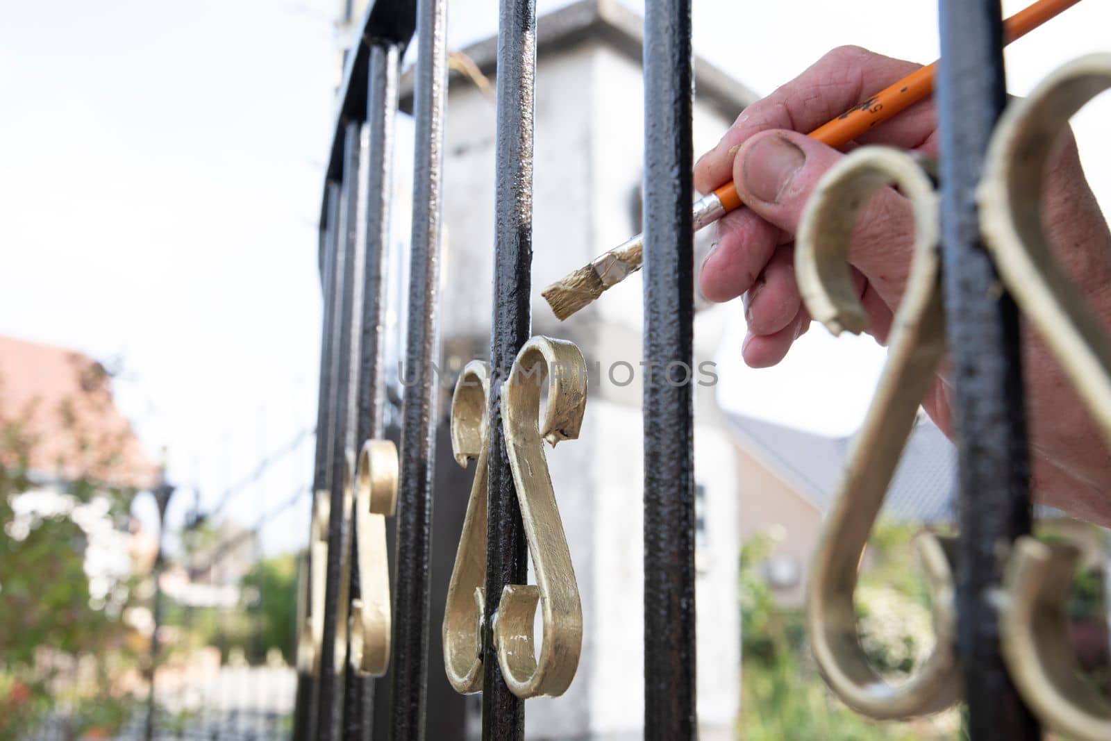 close up a middle-aged man paints a fence in gold paint metal restoration, Do it yourself , High quality photo