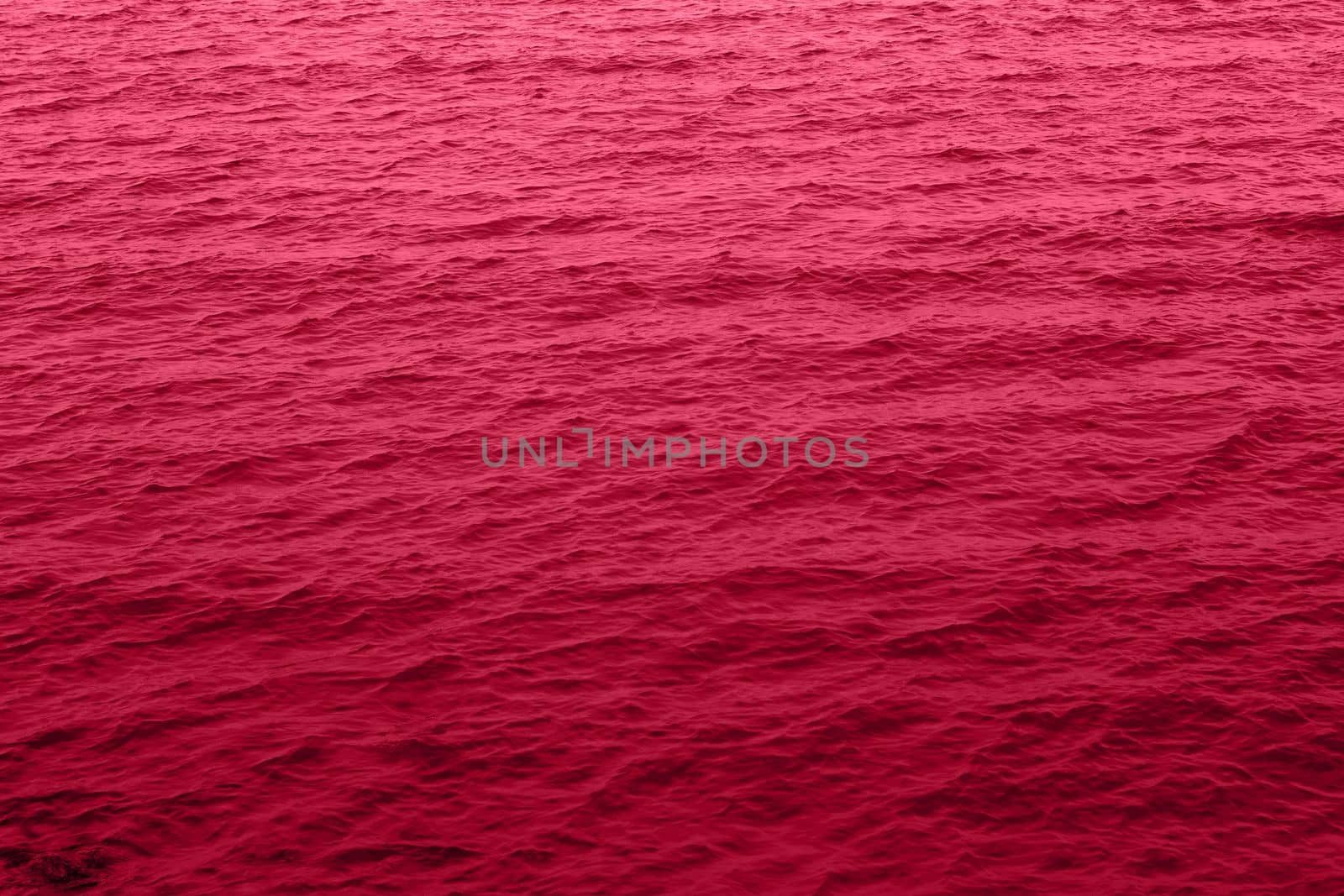 Viva Magenta toned sea water texture. Pool water with sun reflections. Trendy colour 2023 year. High quality photo