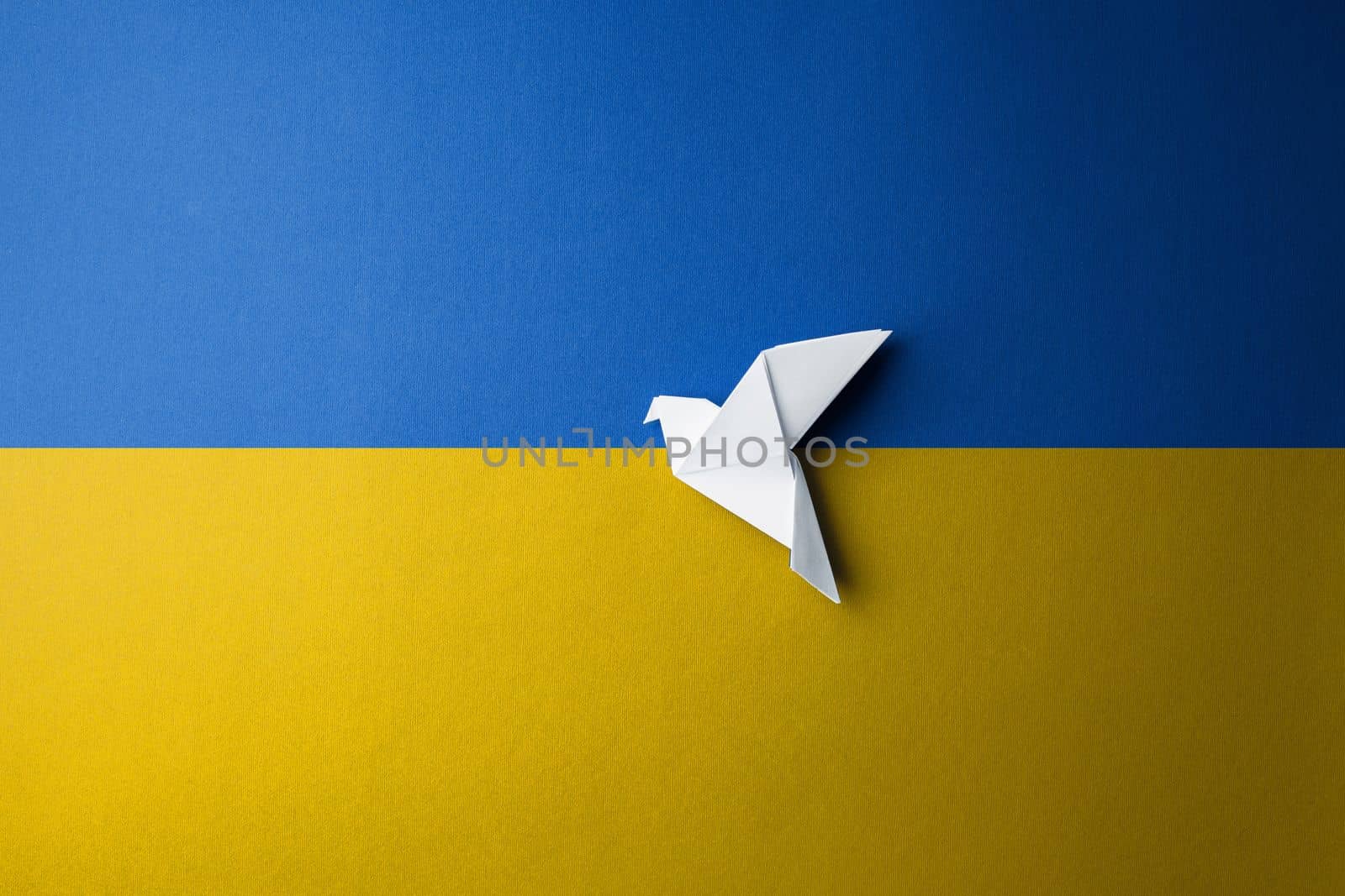 white paper dove bird on background of flag of ukraine with blue yellow color. symbol of freedom. concept needs help and support, truth will win