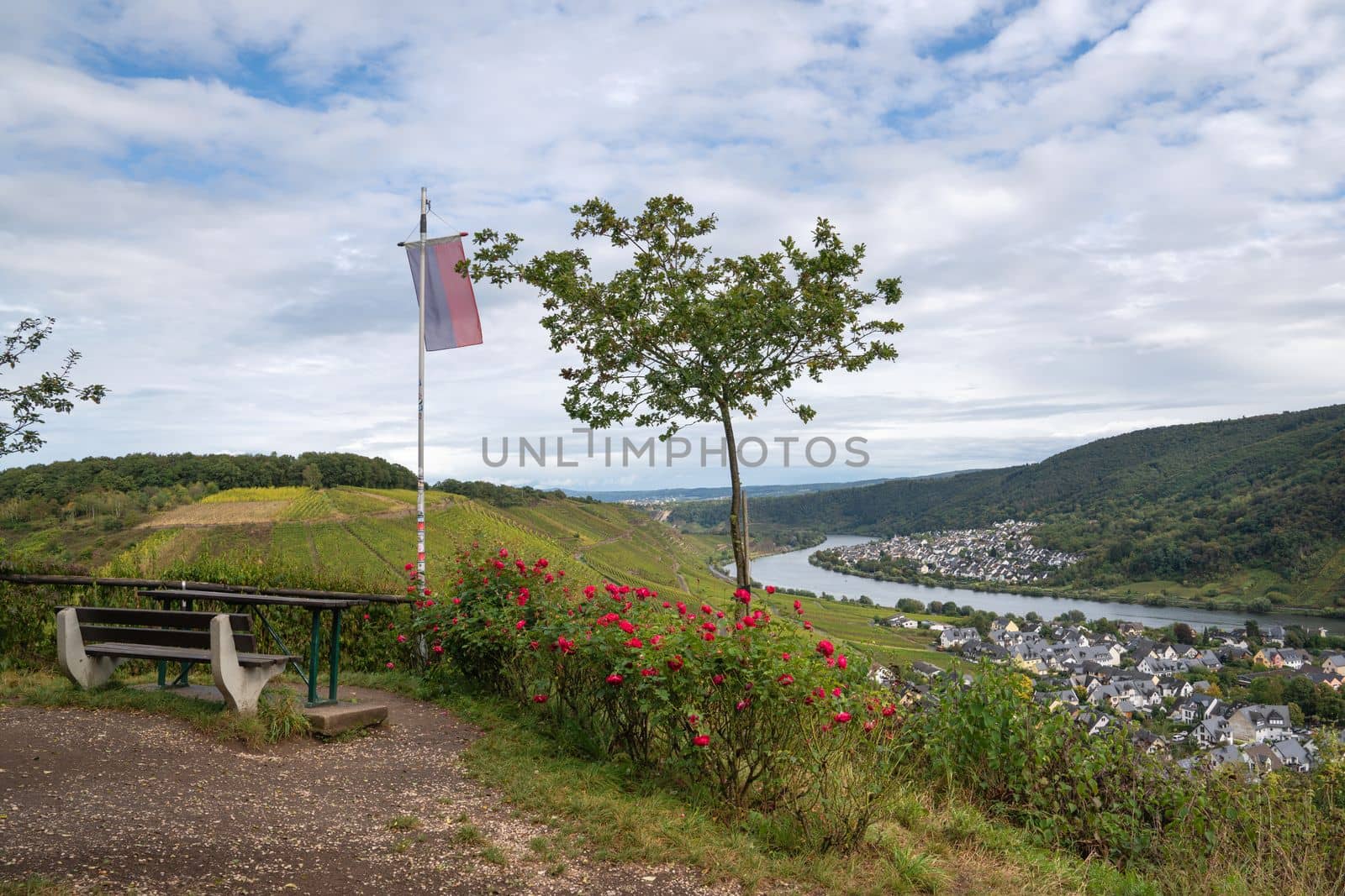 Panoramic view from a viewpoint over Winningen, Moselle, Germany
