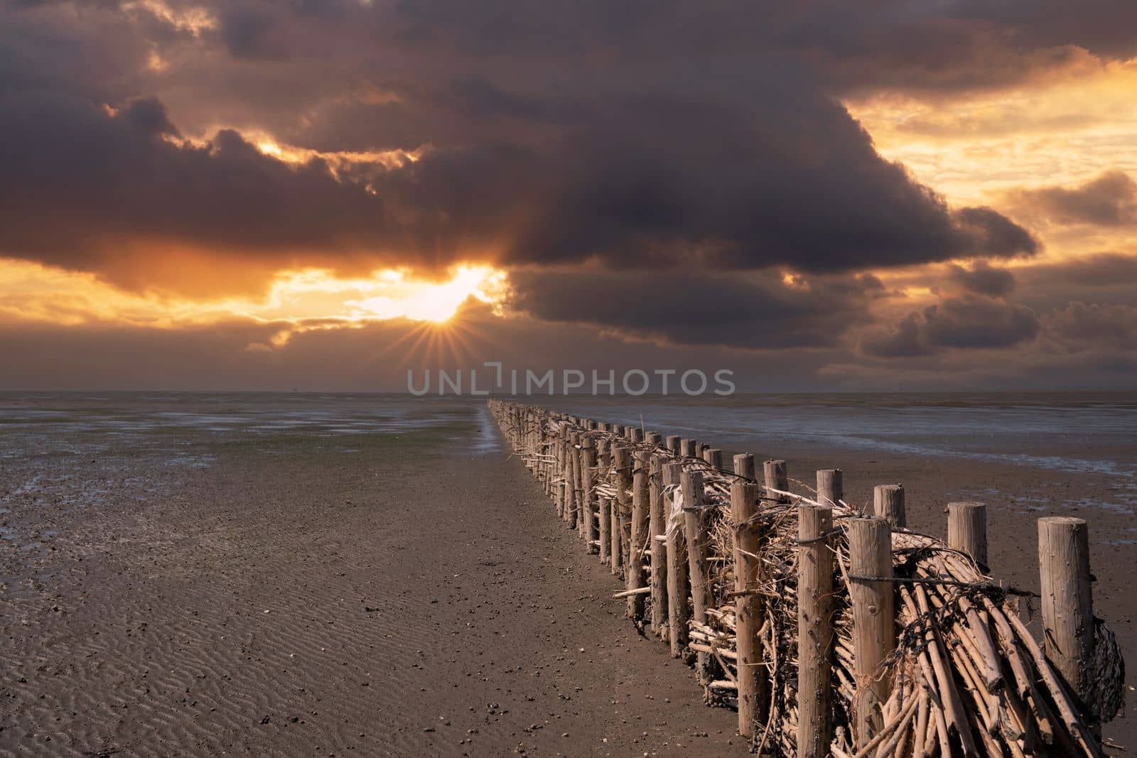 Wadden Sea, North Frisia, Germany by alfotokunst