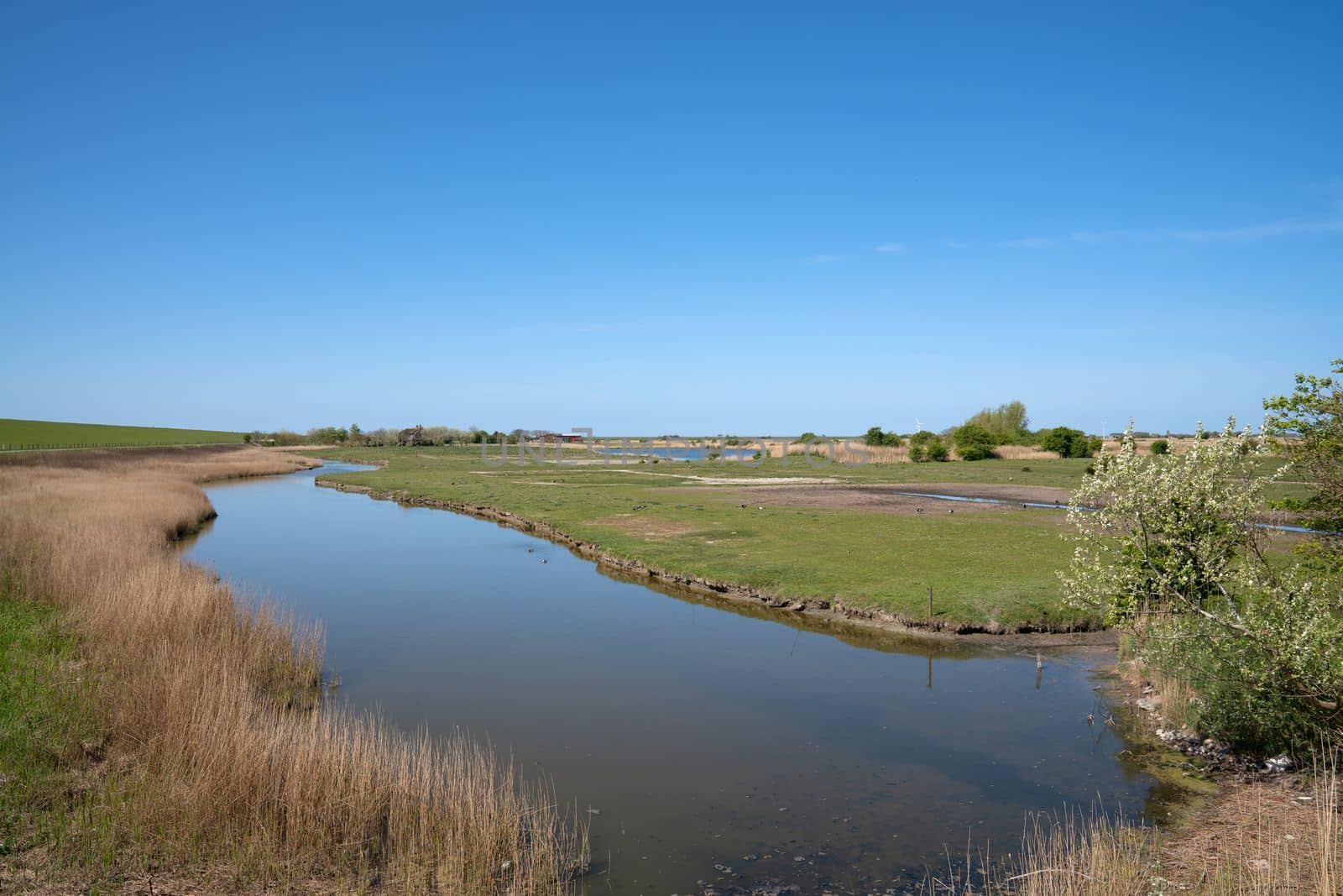 Panoramic image of the landscape along the dikes of Pellworm, North Frisia, Germany 