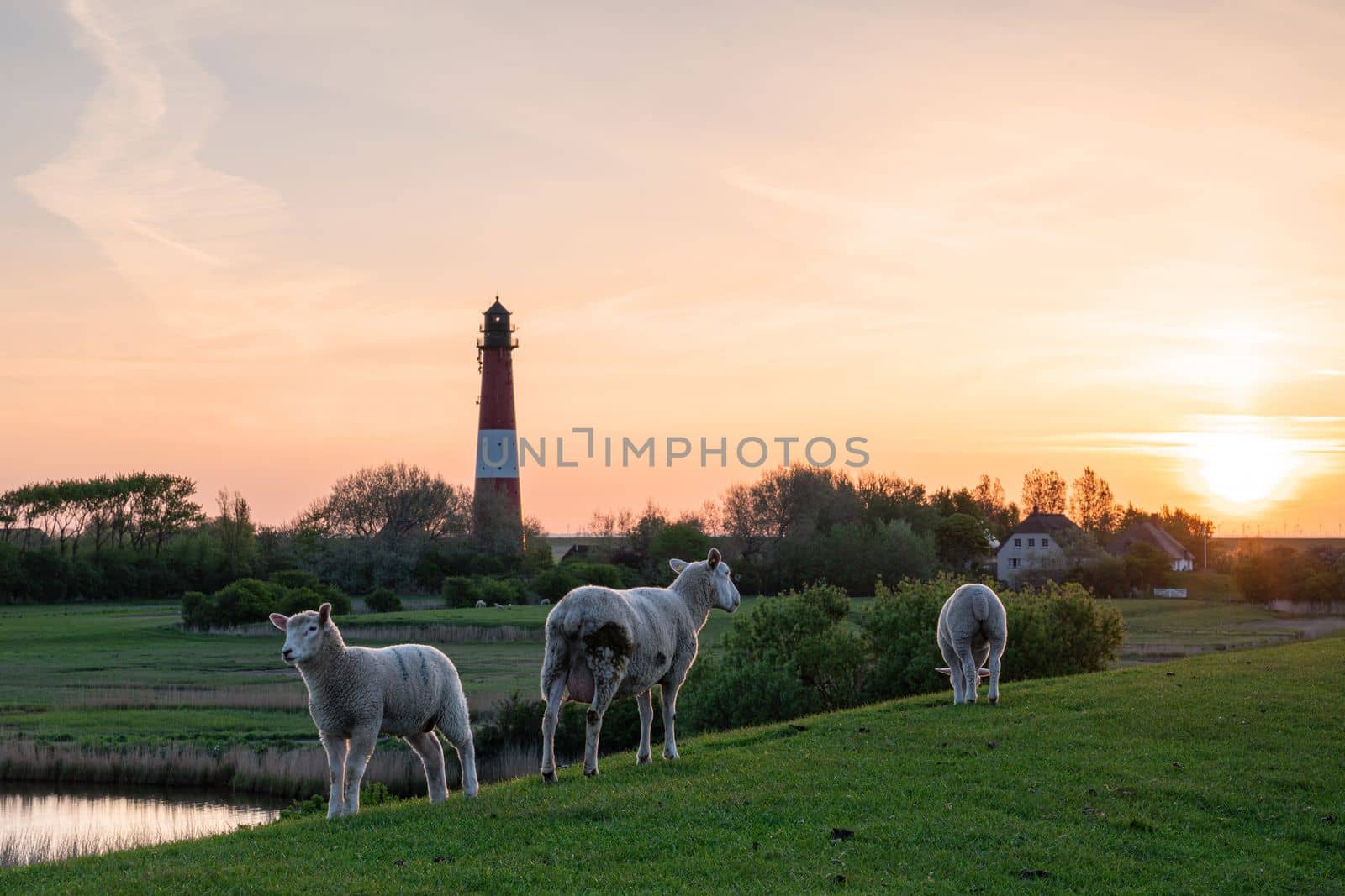 Panoramic image of Pellworm lighthouse against sunrise, North Frisia, Germany 