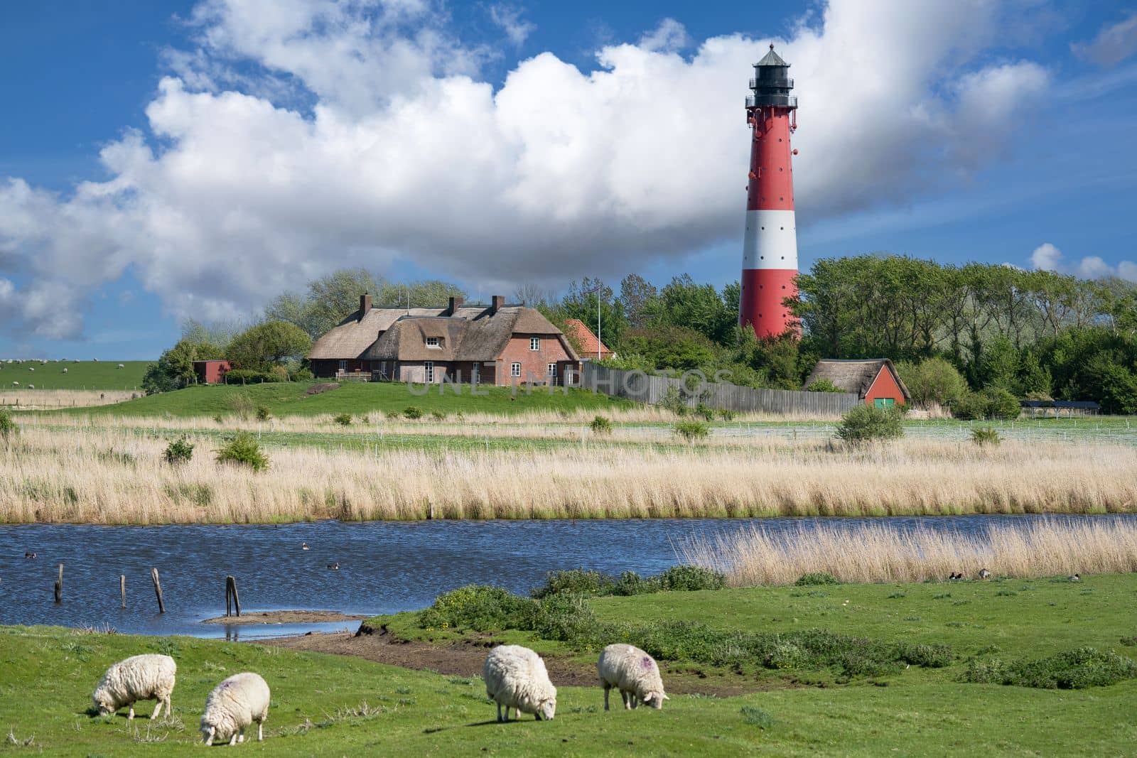 Lighthouse of Pellworm, North Frisia, Germany by alfotokunst