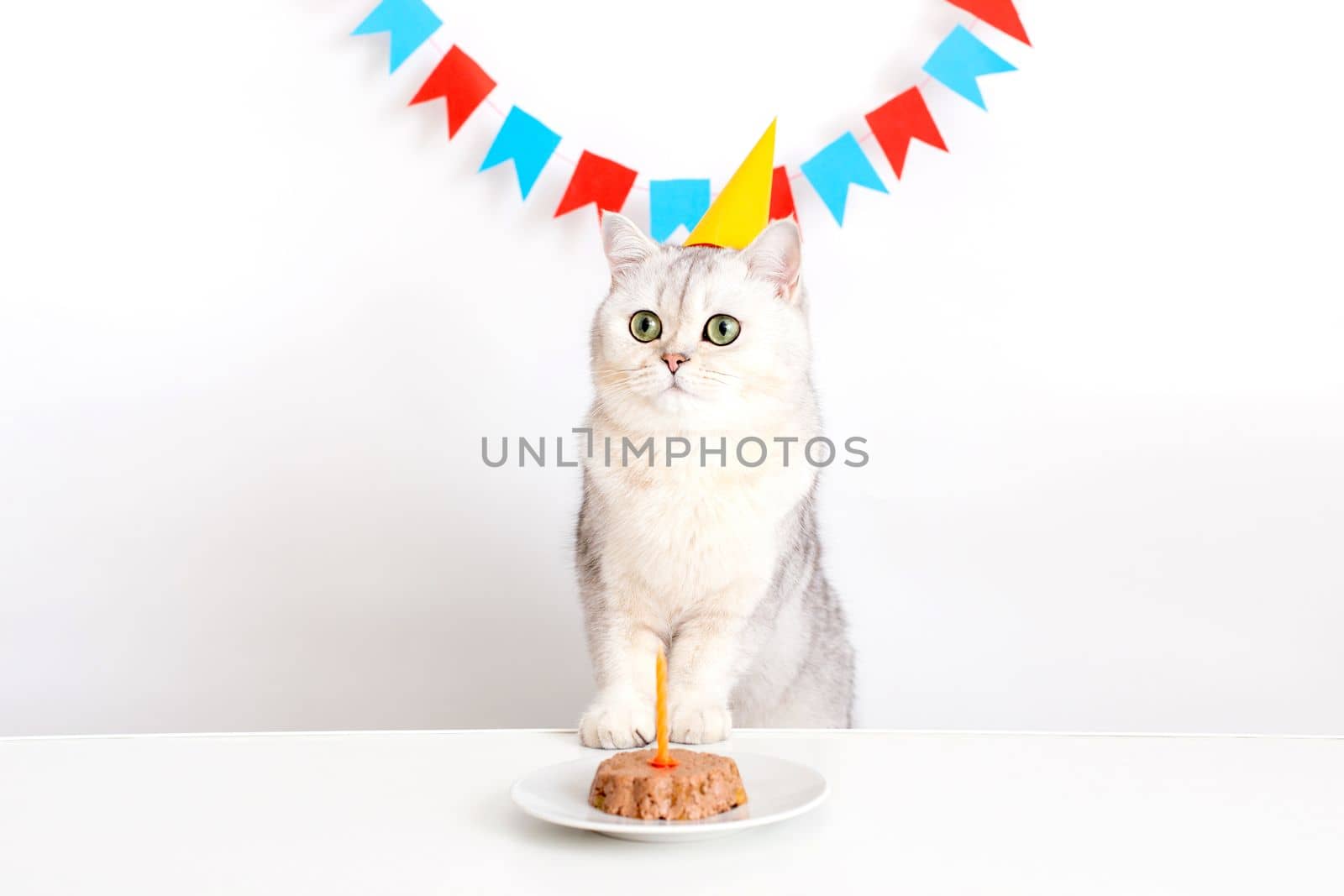 A charming cat in a yellow paper cap stands at a white table with a canned cat cake, on a white saucer and with an orange candle. Copy space