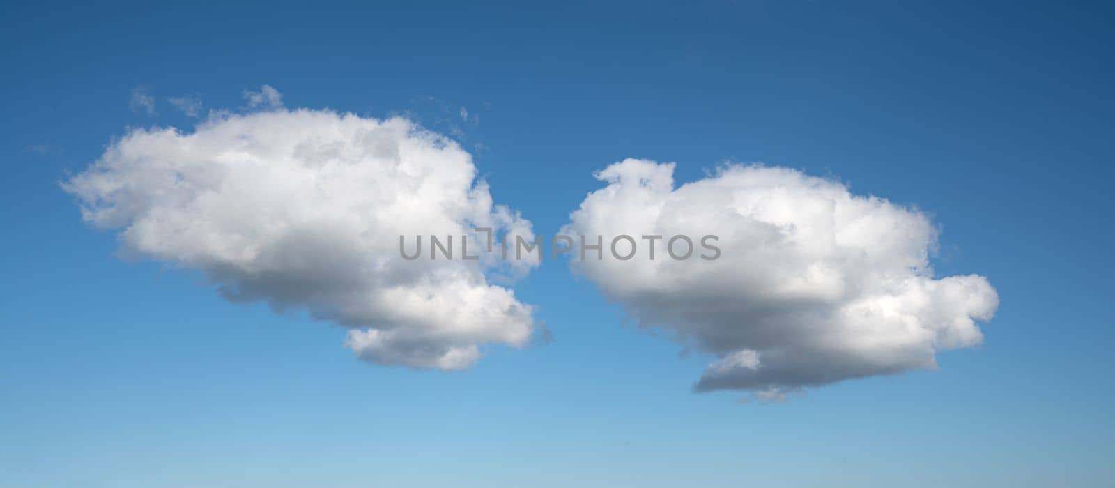 View to sky with cumulus clouds