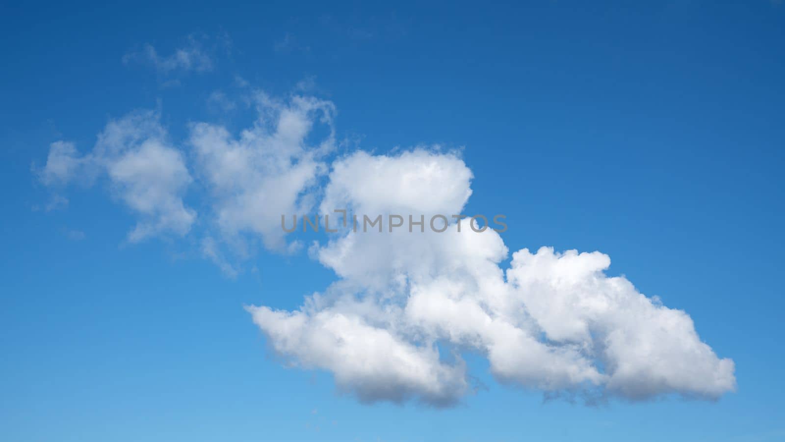 View to sky with cumulus clouds