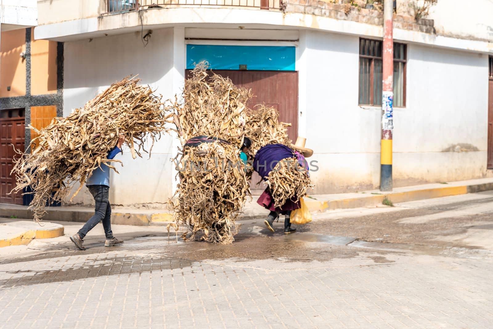 people carry bales of straw on their backs down the street. 