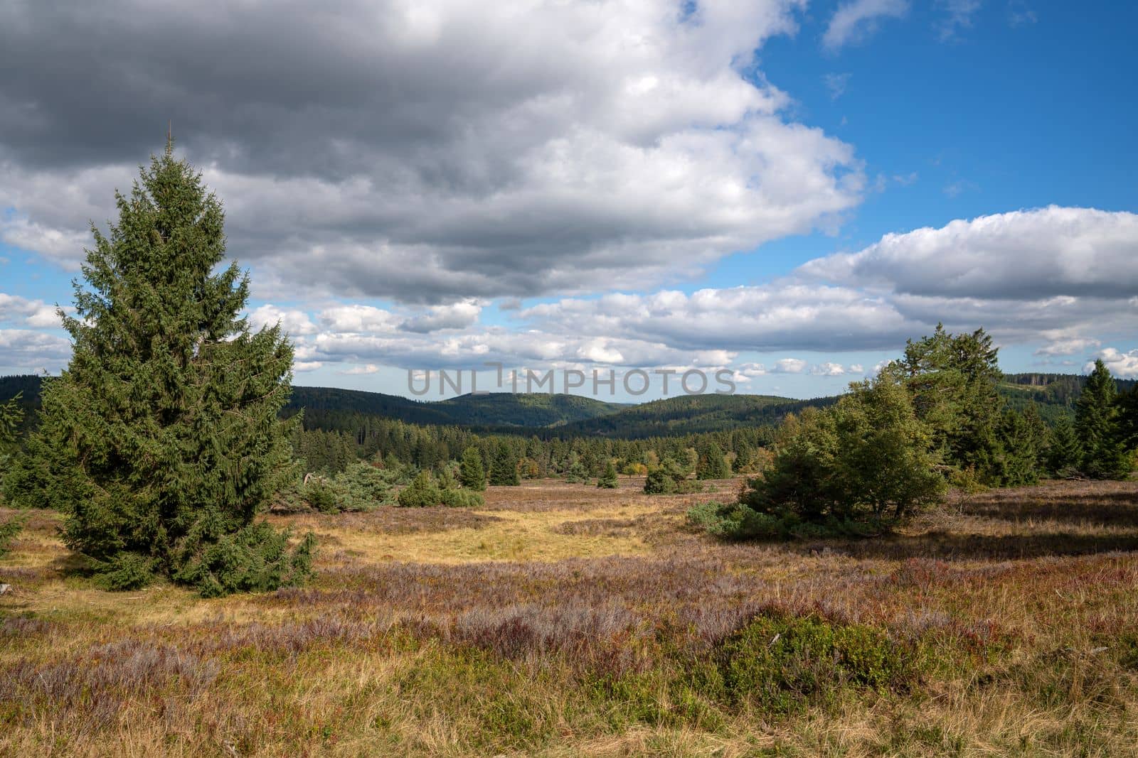 Panoramic landscape image, beautiful scenery of Rothaar Mountains close to Willingen, Sauerland, Germany 