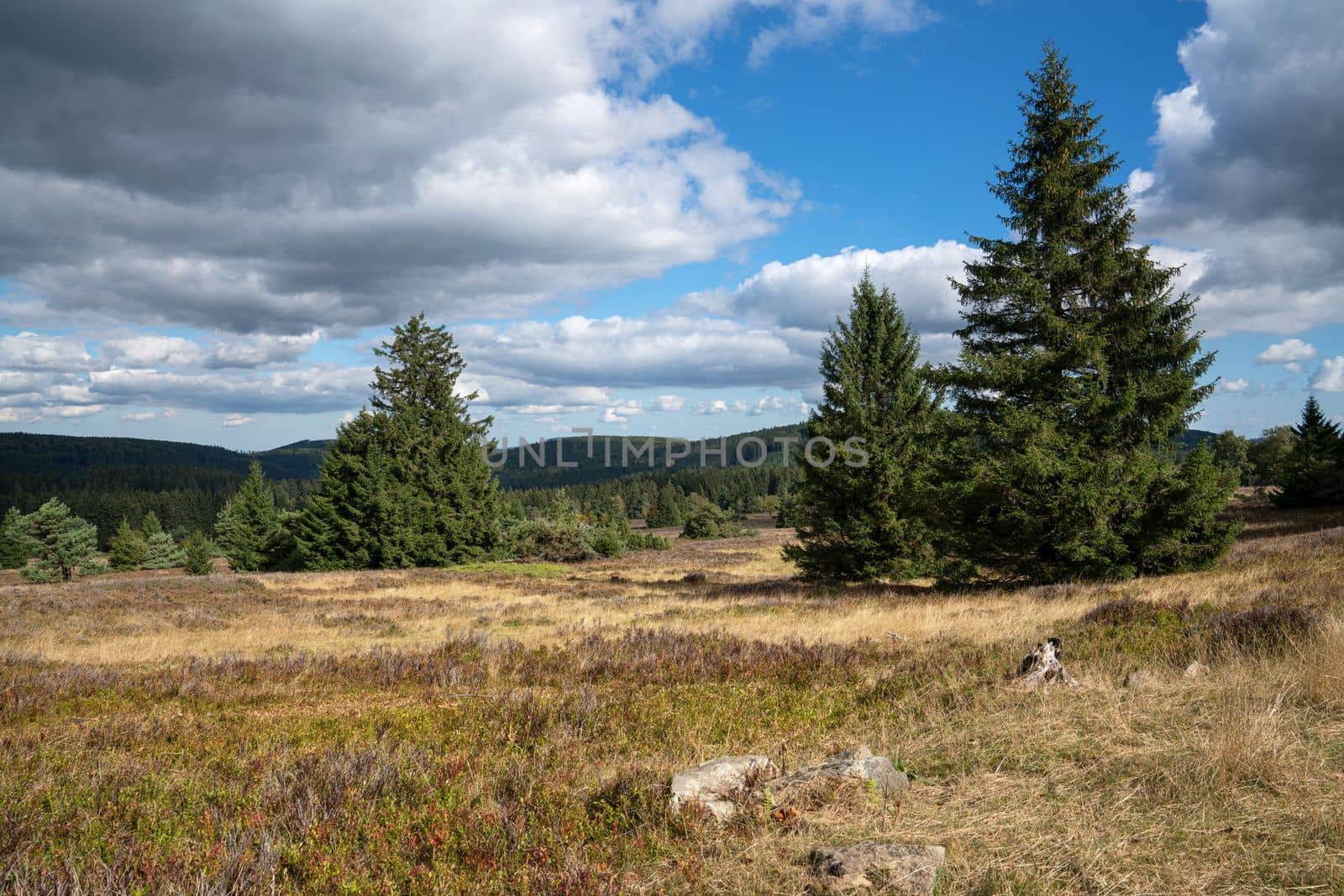 Panoramic landscape image, beautiful scenery of Rothaar Mountains close to Willingen, Sauerland, Germany 