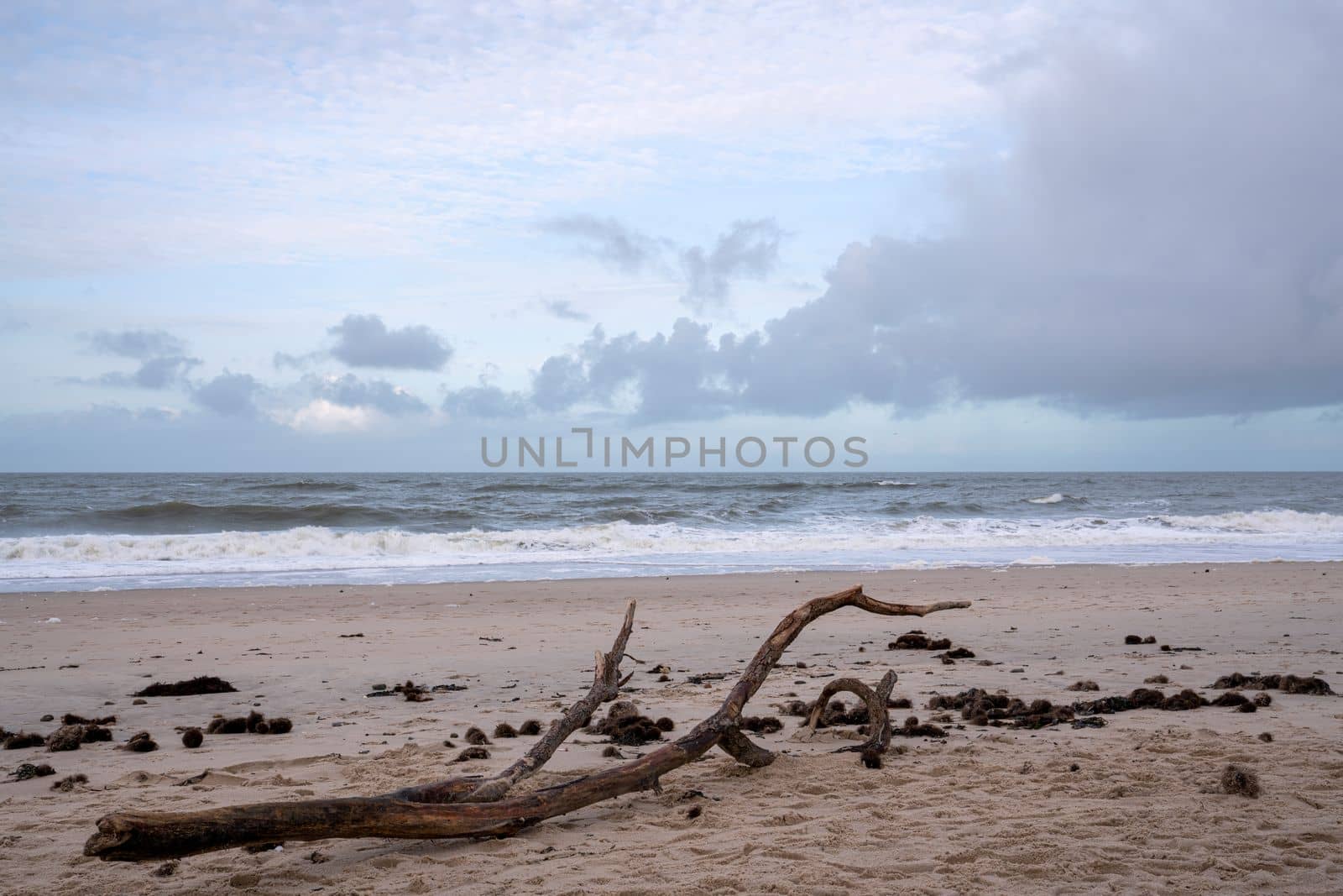 Beach of Sylt, North Frisia, Germany  by alfotokunst