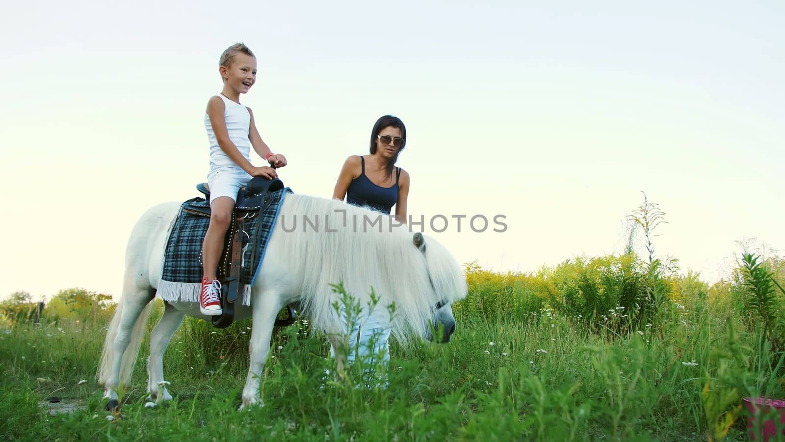 A woman and a boy are walking around the field, son is riding a pony, mother is holding a pony for a bridle. Cheerful, happy family vacation. Outdoors, in summer, near the forest. High quality photo