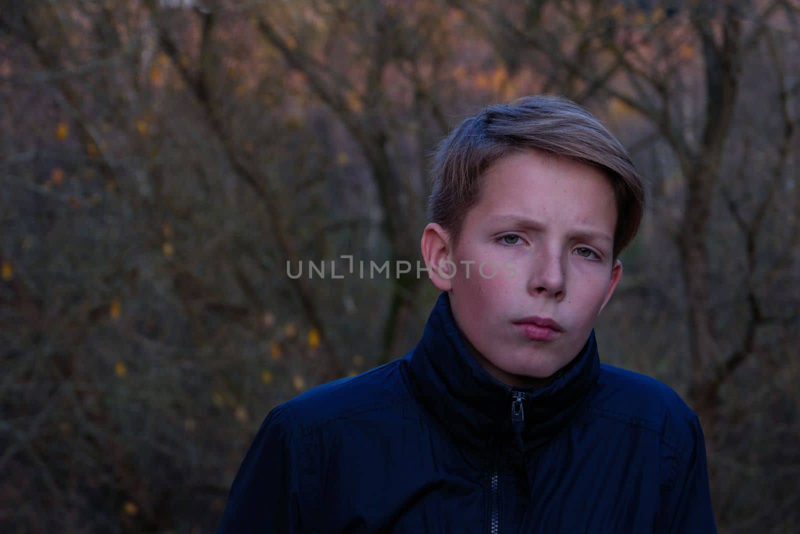 Portrait of a sad boy in a blue jacket against the background of autumn bare trees. by gelog67