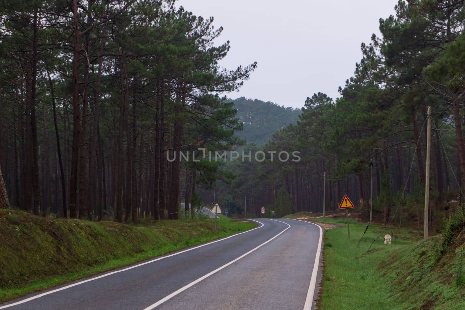 Road among the hills covered with coniferous forests landscape