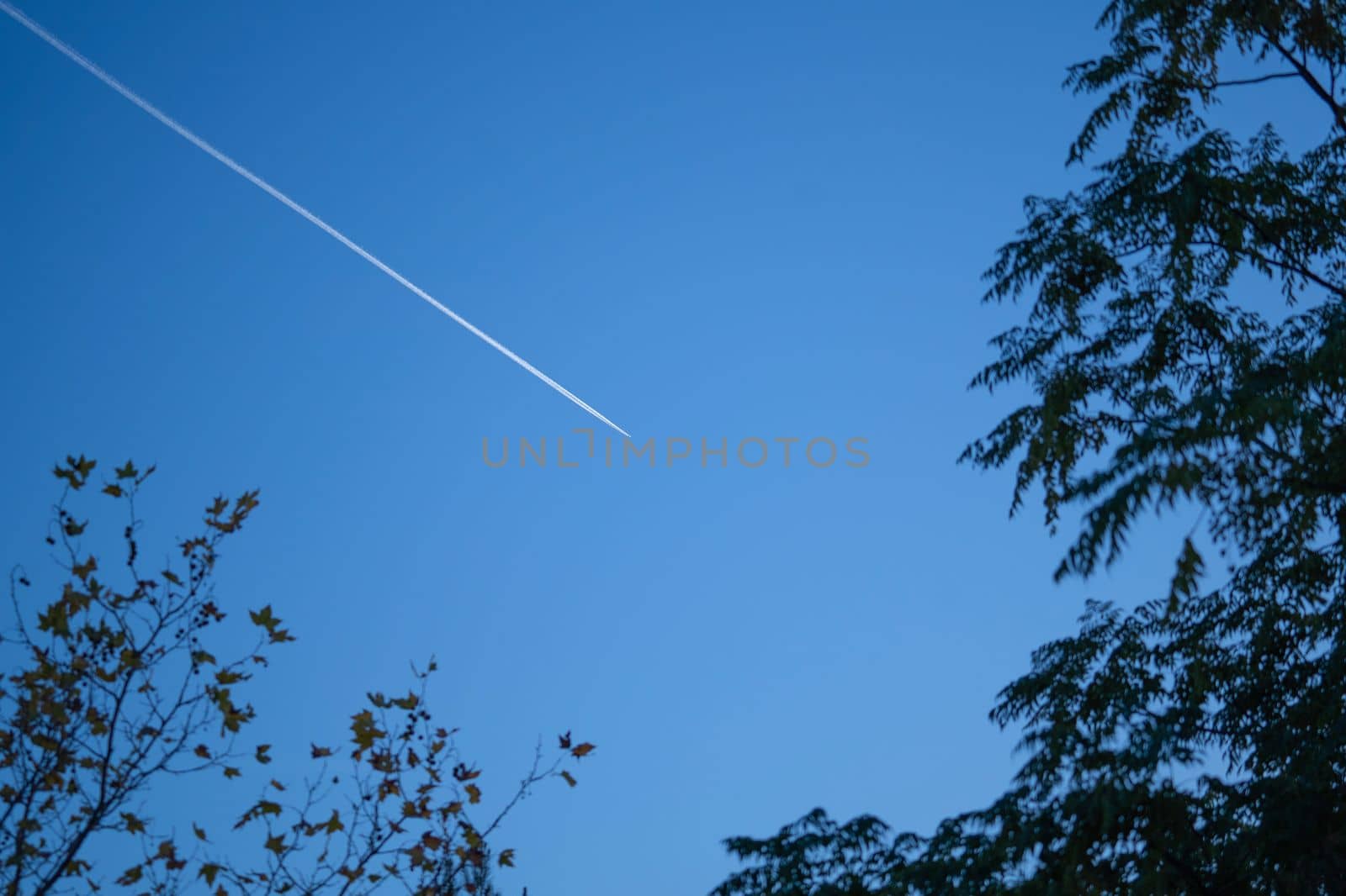 Abstract airplane contrail against clear blue sky towards leaves on trees.