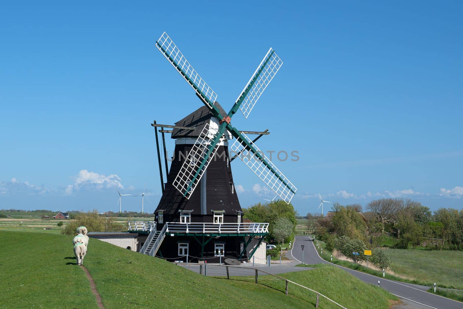 Panoramic image of the windmill of Pellworm against blue sky, North Frisia, Germany