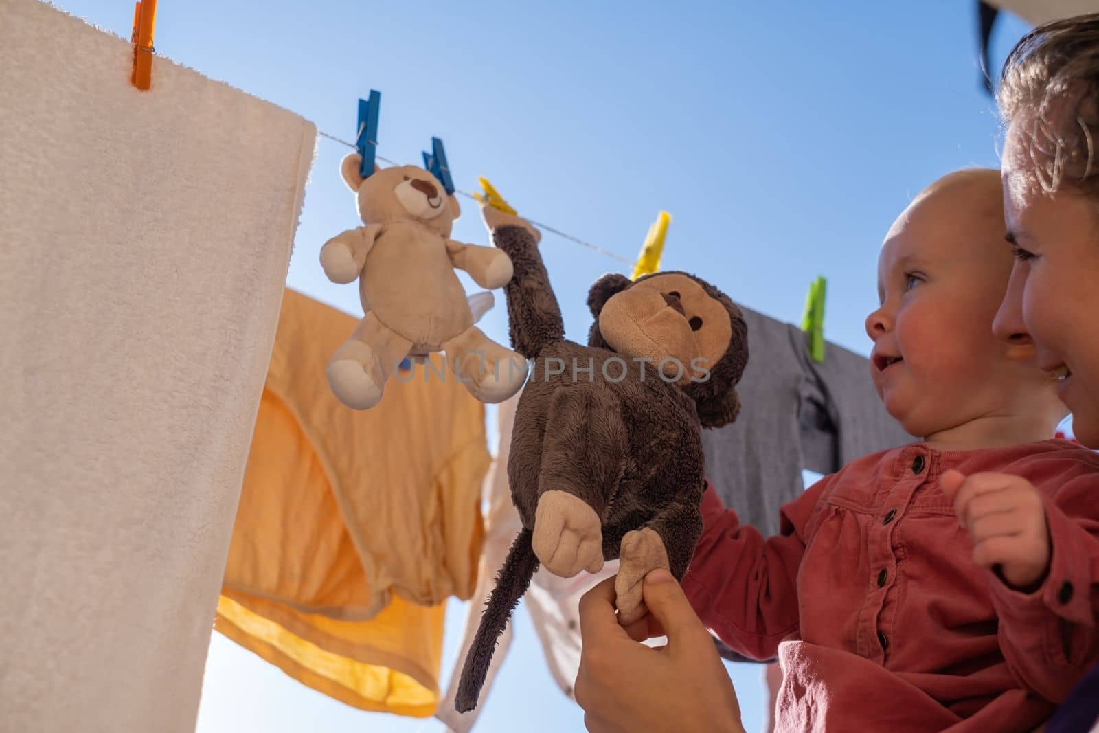 Plush toys monkey and teddy bear are dried on a clothesline after washing