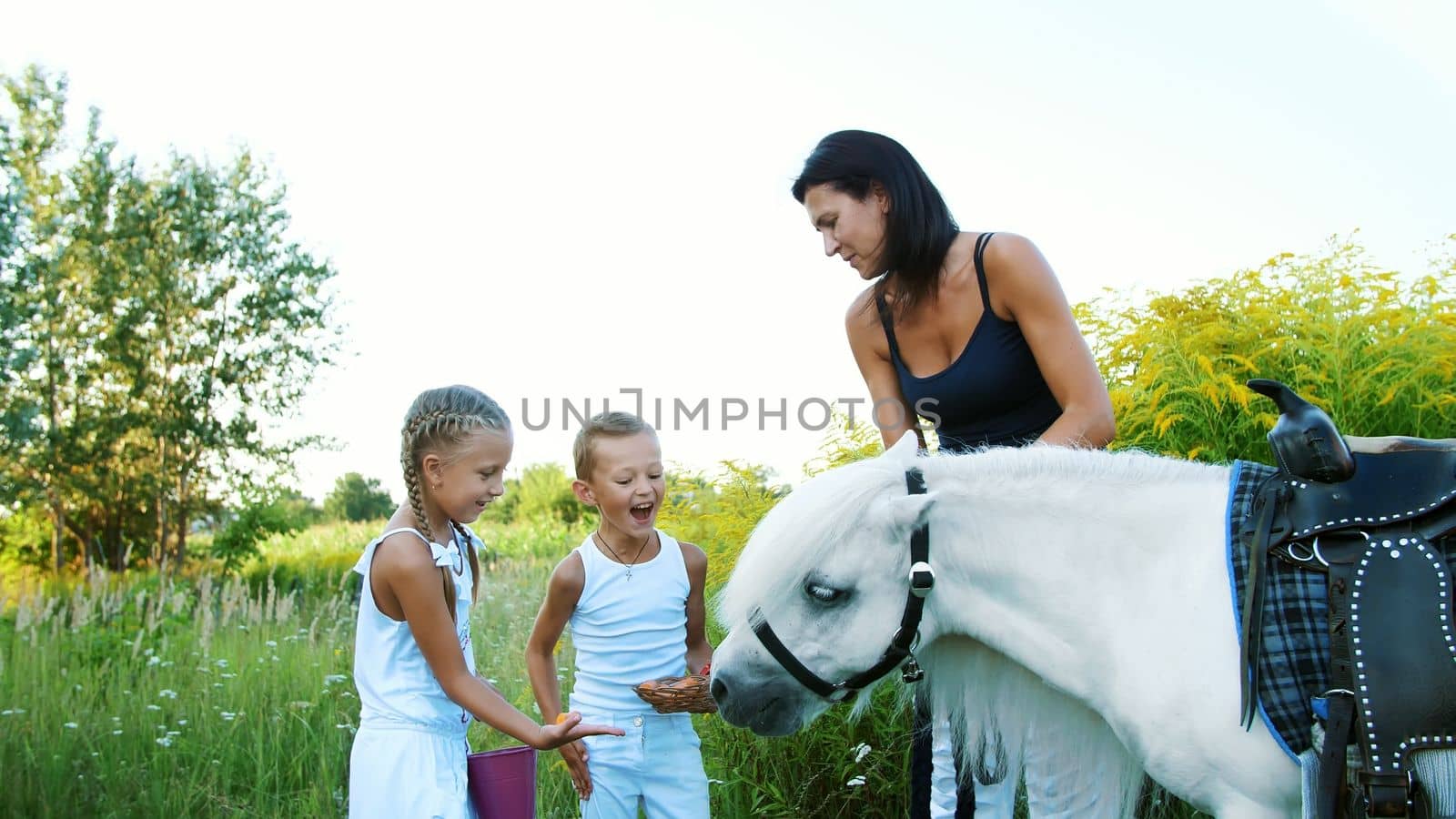 Children, a boy and a girl of seven years, fed a white pony, give to eat carrots. Cheerful, happy family vacation. Outdoors, in the summer, near the forest. High quality photo