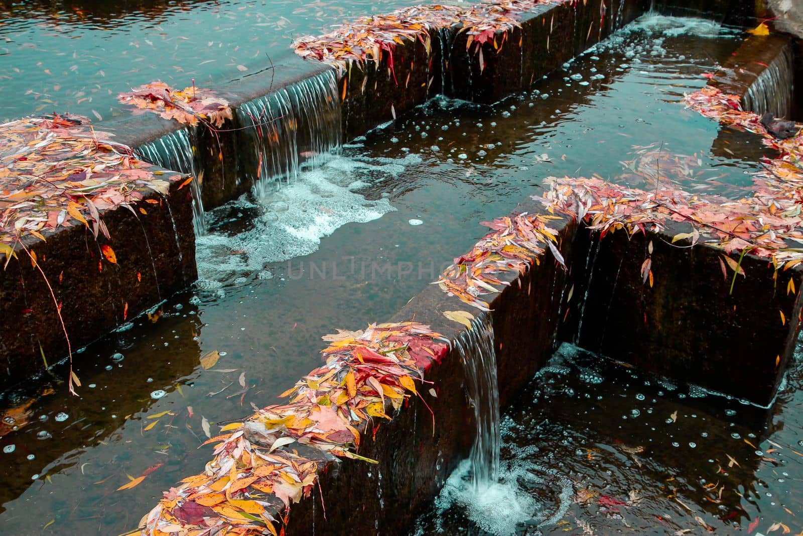 Waterfall covered with colorful autumn leaves. by gelog67