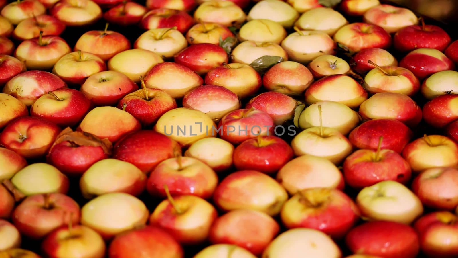 fresh picked apple harvest. The process of washing apples in a fruit production plant, Special bath, packing tub at fruit warehouse. Sorting apples at the factory. food industry. High quality photo