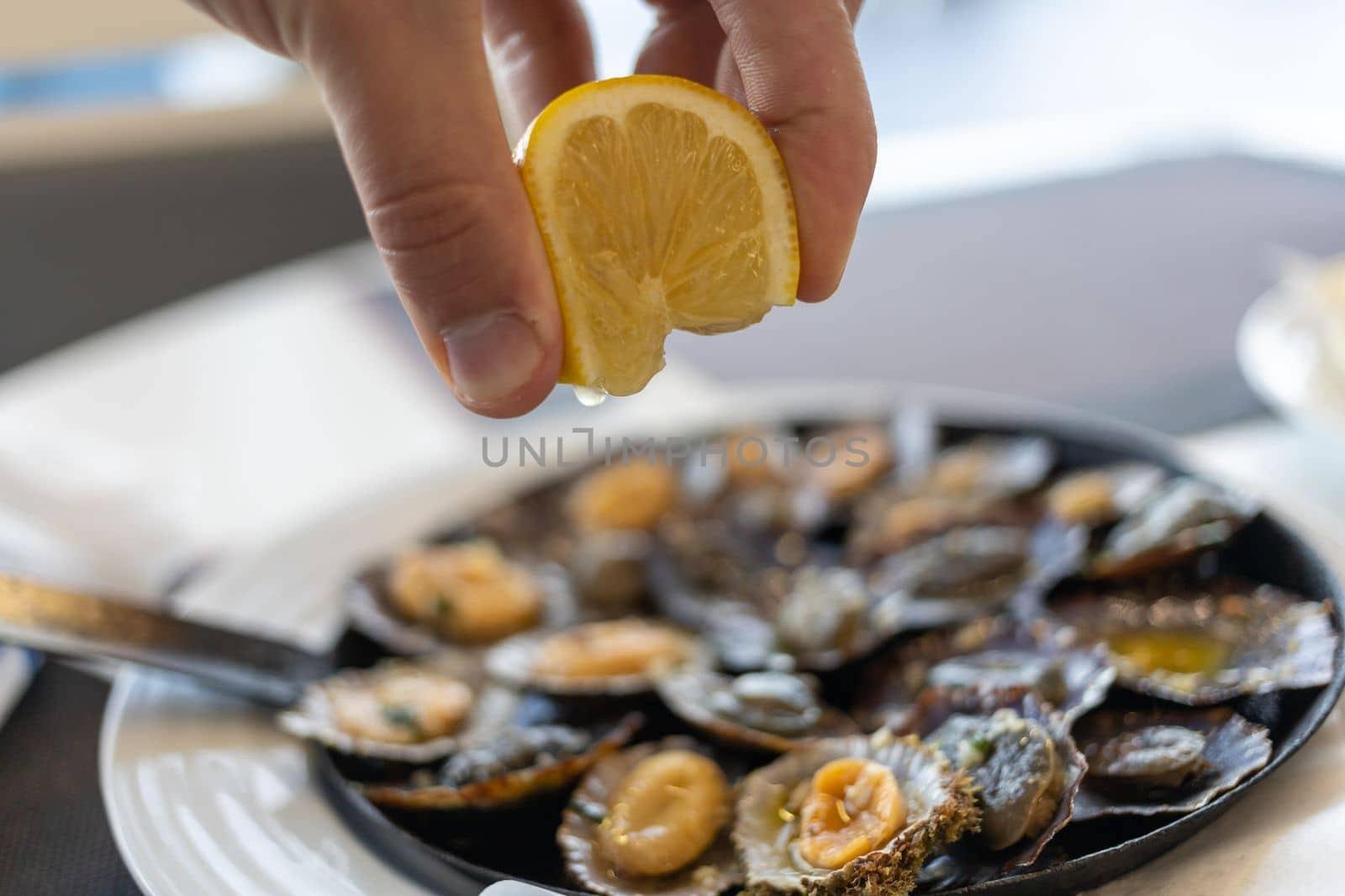 limpets sea fruits grilled on rustic frying pan by Chechotkin