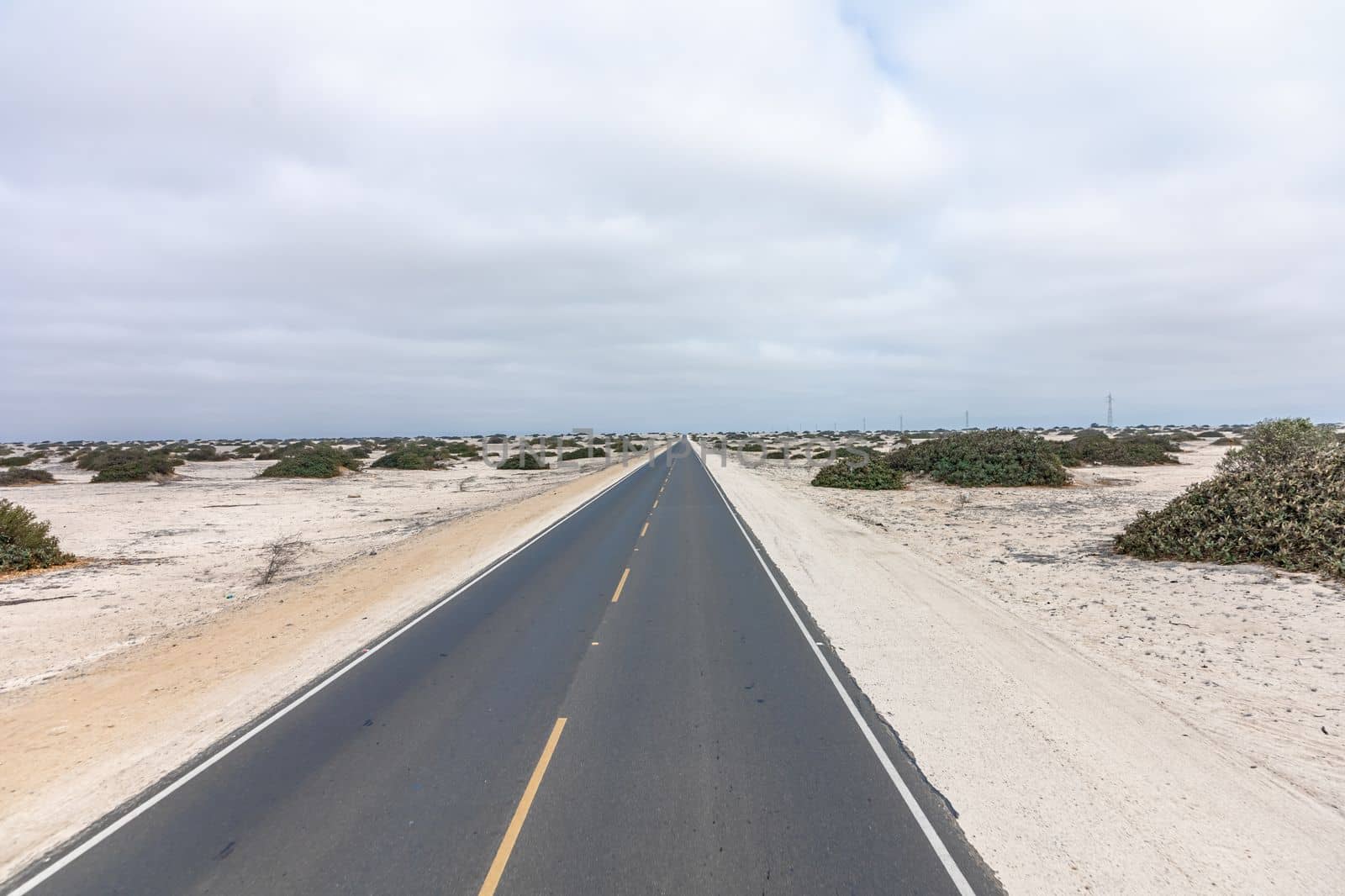 road in the steppe in the mountain nature. 