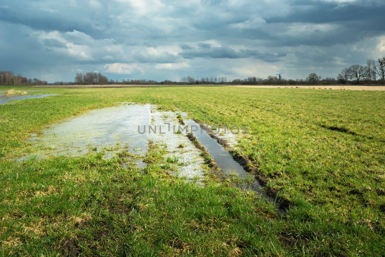 Water after rain on the meadow and cloudy sky, spring view