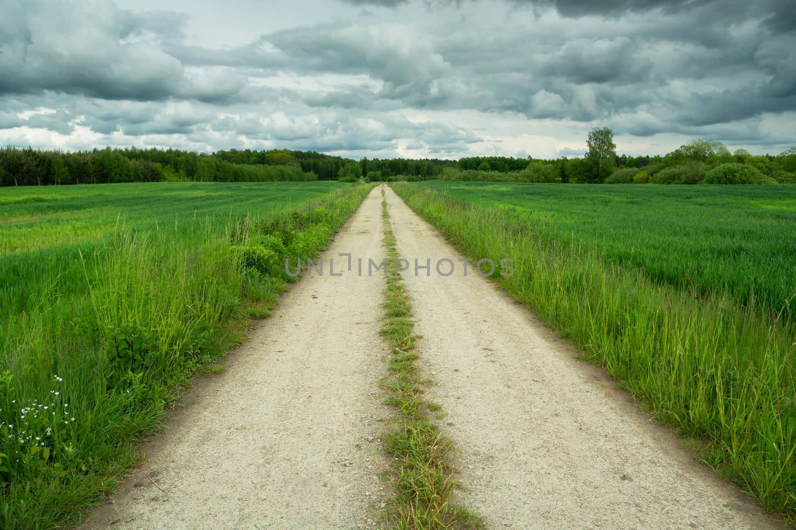 Long dirt road through green fields and cloudy sky