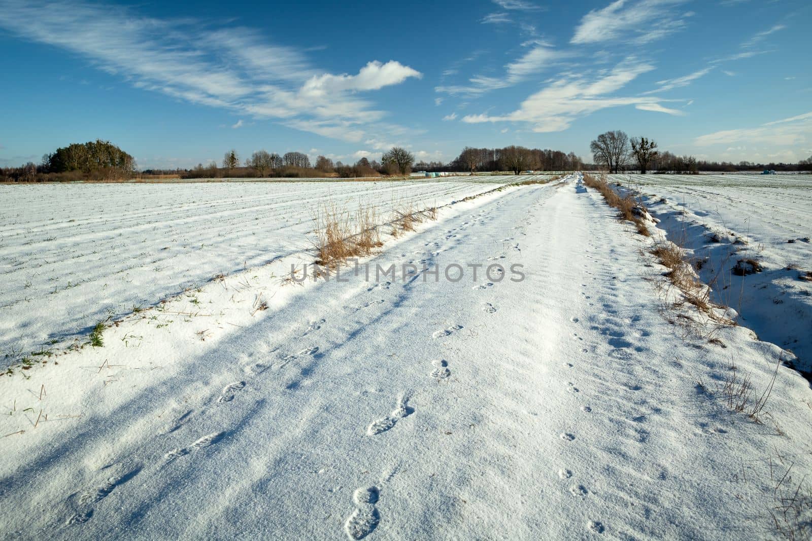 Footprints on a snow-covered road between fields, winter sunny day