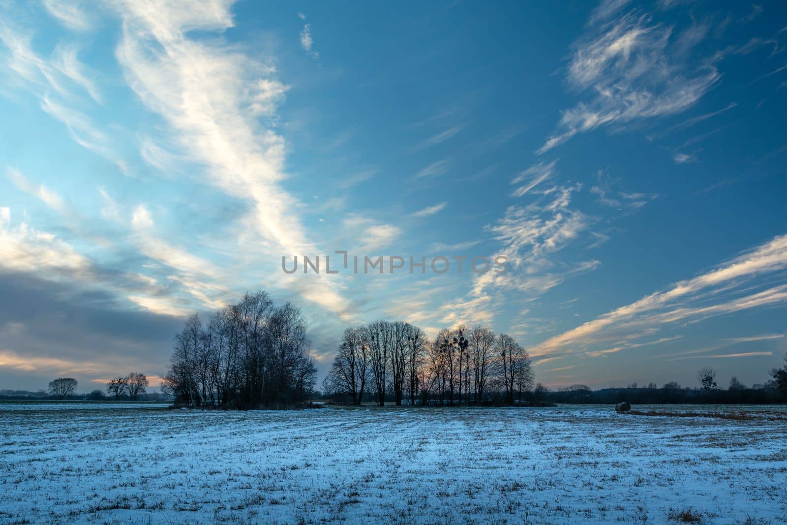 Snow-covered meadow with trees on the horizon and beautiful evening clouds, winter view