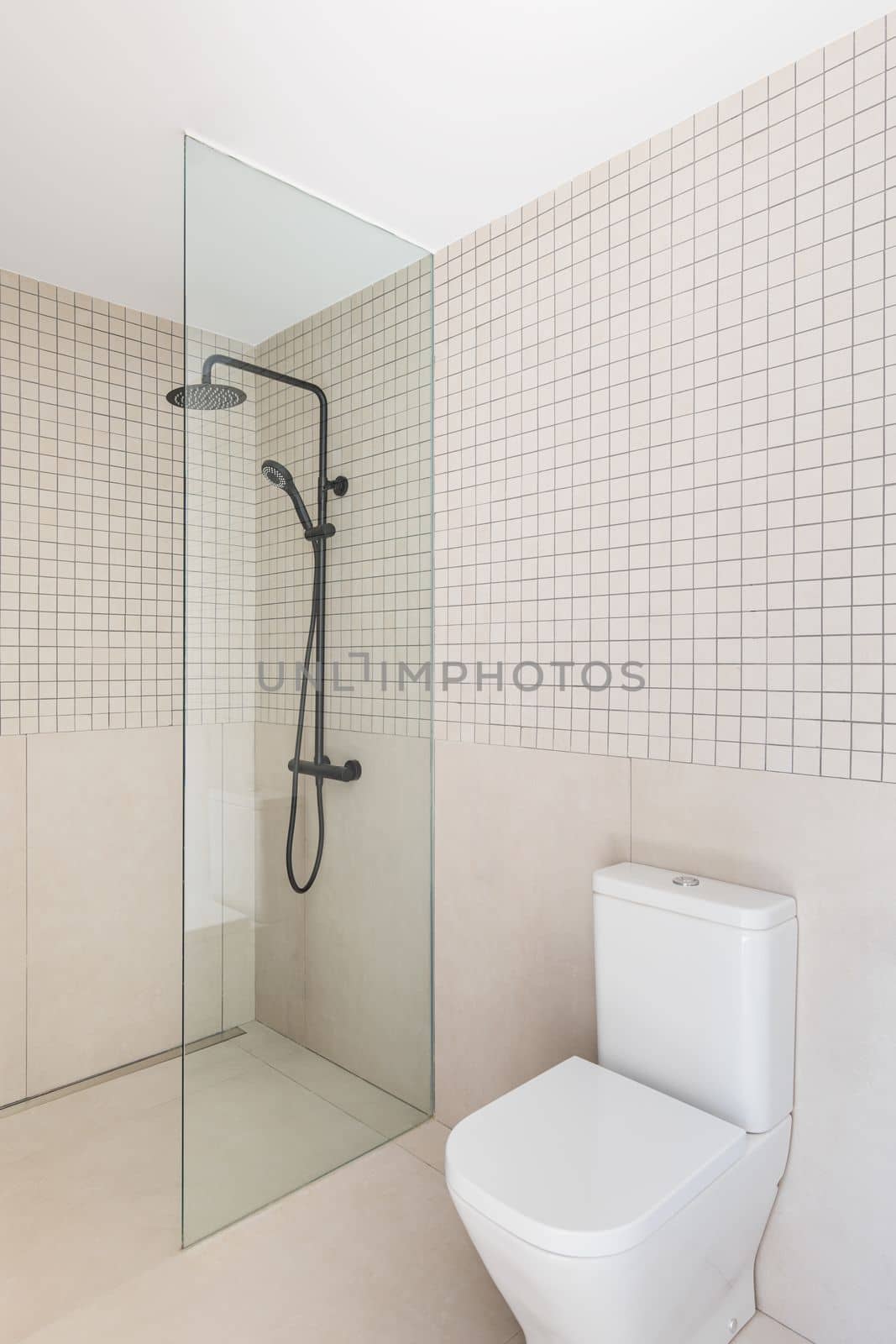 Modern minimalist bathroom with shower zone, rain head, hand held shower and glass partition. by apavlin