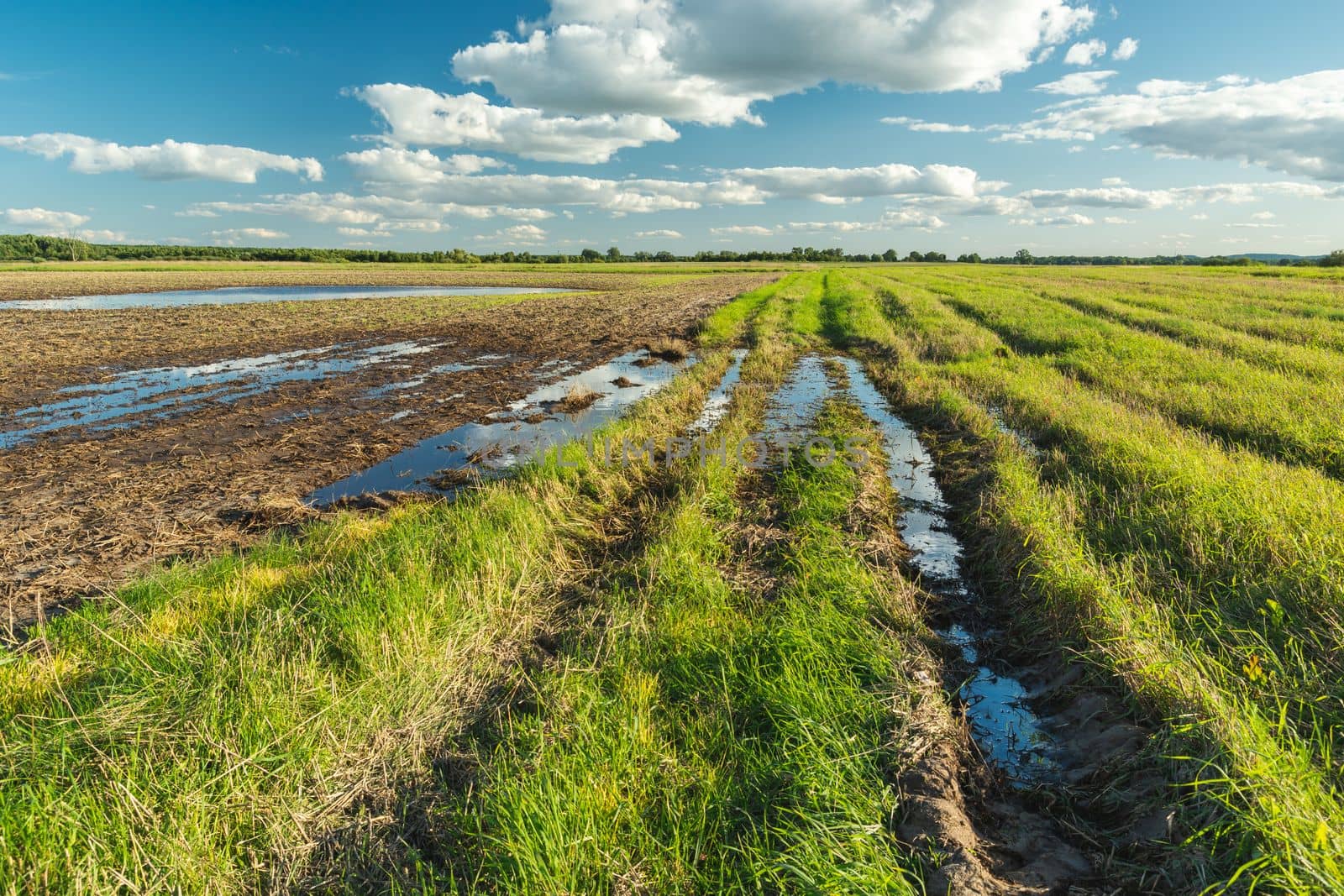 Flooded field and green meadow after rain, September rural view in eastern Poland