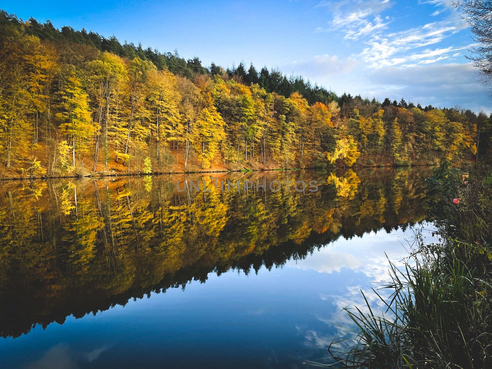 A forest lake surrounded by autumn foliage wallpaper. Forest lake in autumn background. Autumn forest lake postcard. Forest lake in autumn landscape in Marbach Fulda Hesse Germany by Costin