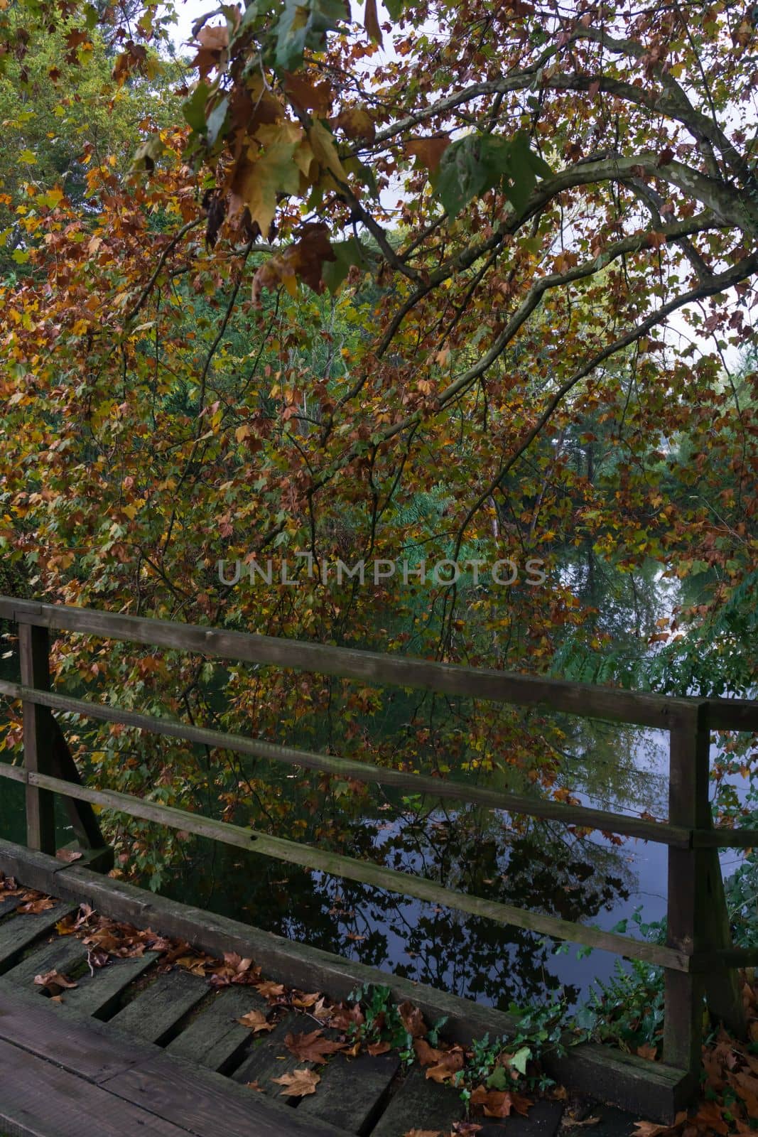 Wooden bridge across the river in the autumn park background