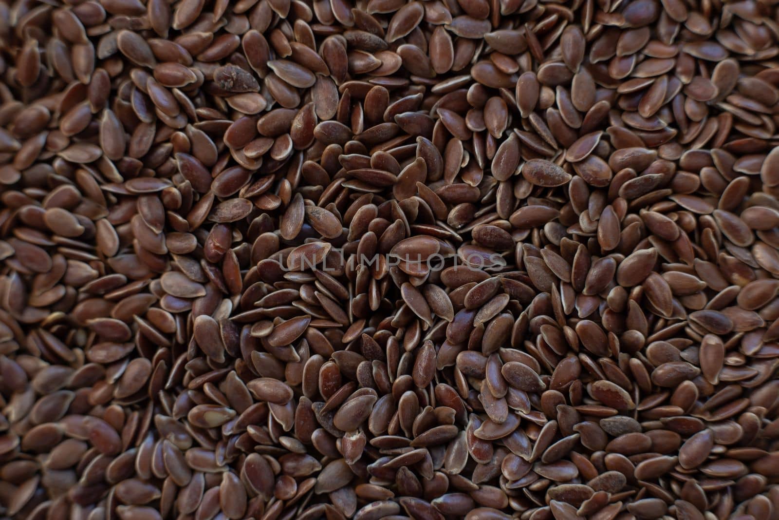 flax seeds texture background. Salted roasted sunflower seeds with white shell, top view. High quality photo