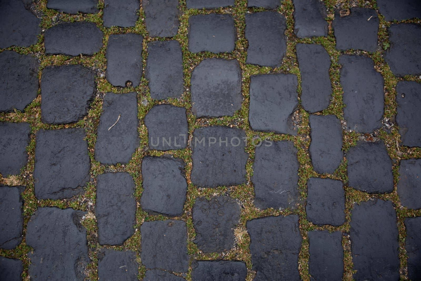 a road made of some squre stone with some dry leafs. Stone patio tiles. Texture Figured Paving Slabs. seamless texture. high resolution. Coating with modern textured paving tiles of square shape. Paving slabs close up as a background. Pavement top view. Pavement texture. Background of old cobblestone pavement close-up. Pavement road stone. Texture of the modern street architecture. View from above. Round Manhole Cover Utility Shaft by Costin
