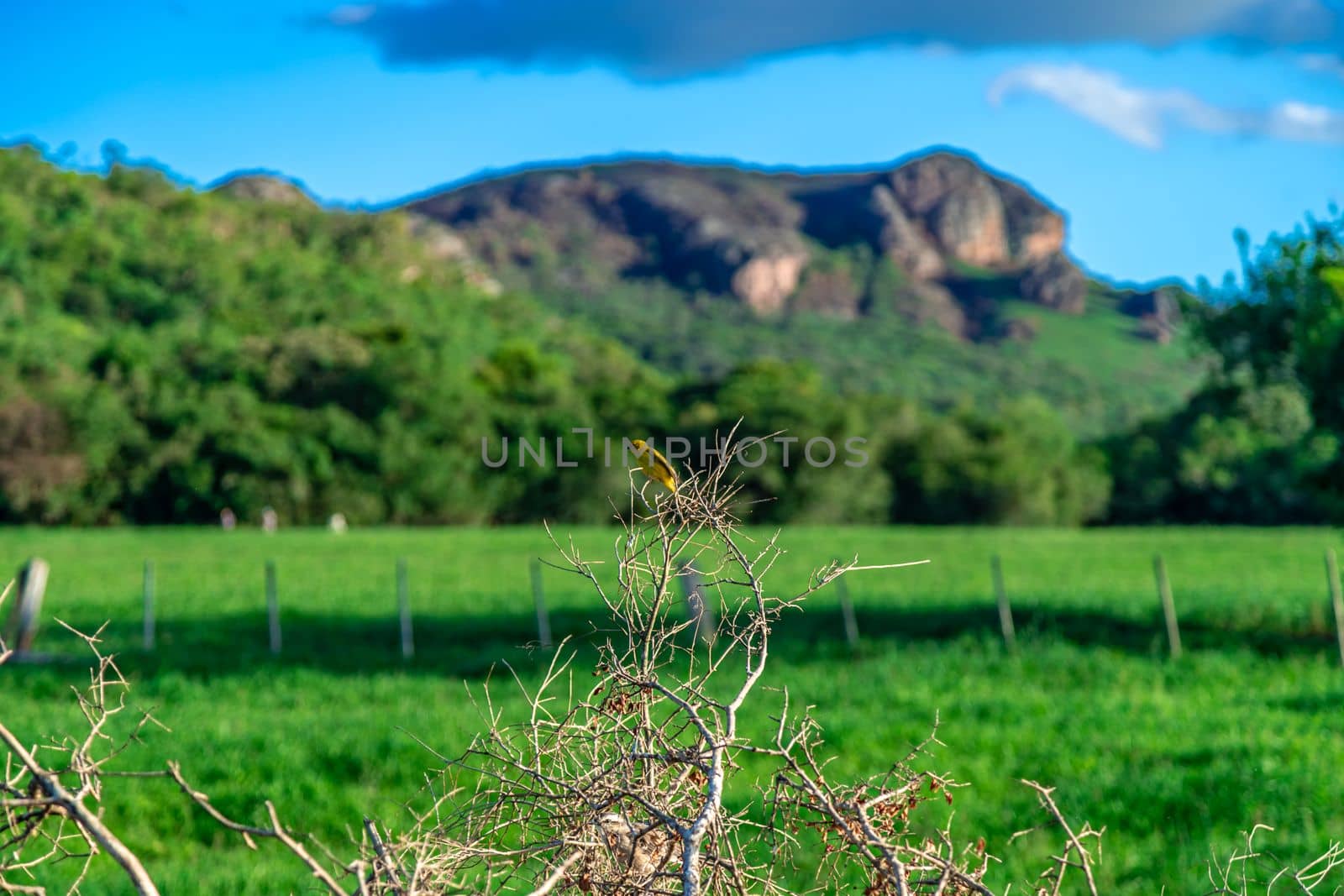 beautiful nature with mountains in Brazil in South America. 