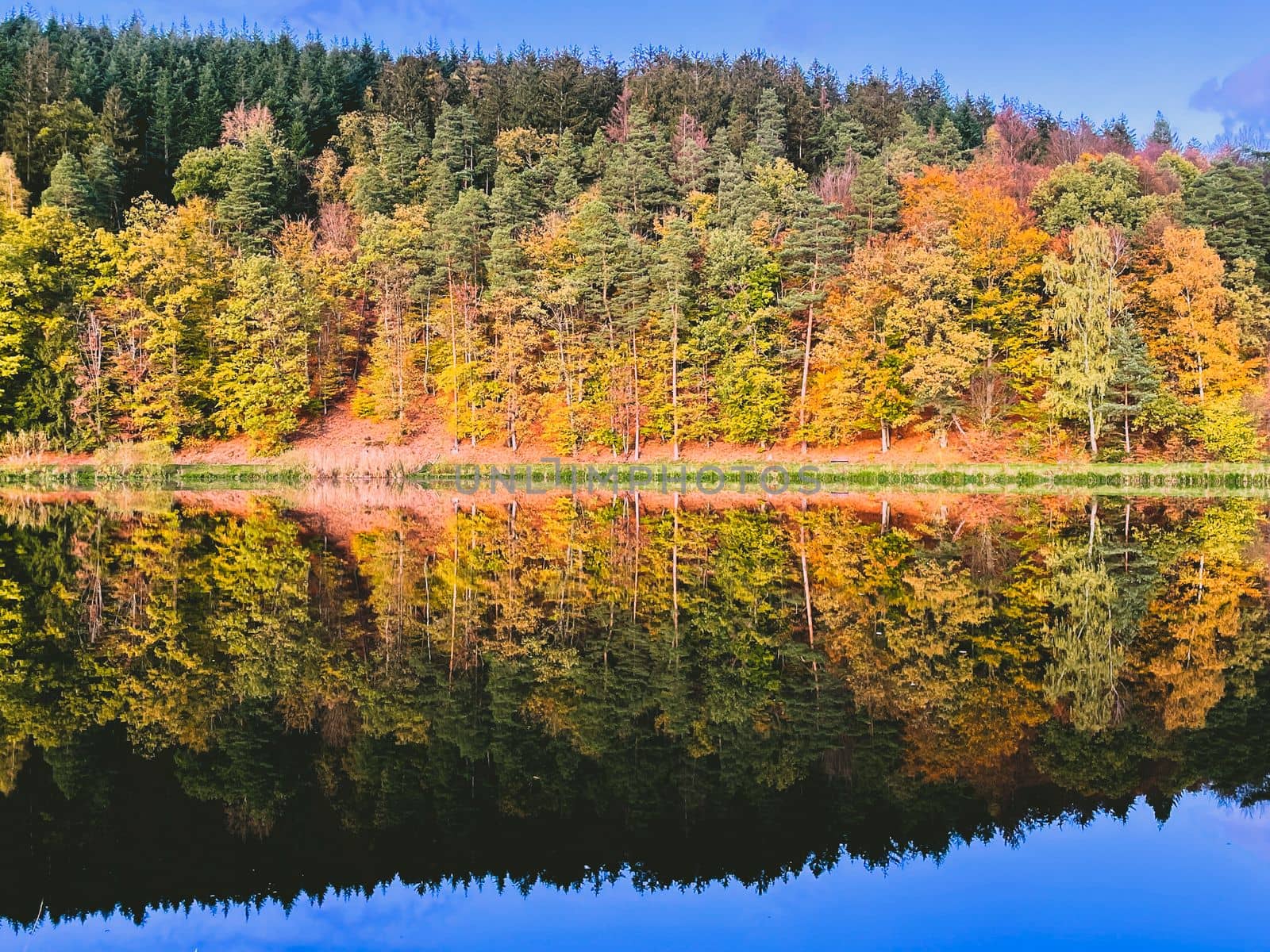 A forest lake surrounded by autumn foliage wallpaper. Forest lake in autumn background. Autumn forest lake postcard. Forest lake in autumn landscape in Marbach Fulda Hesse Germany by Costin